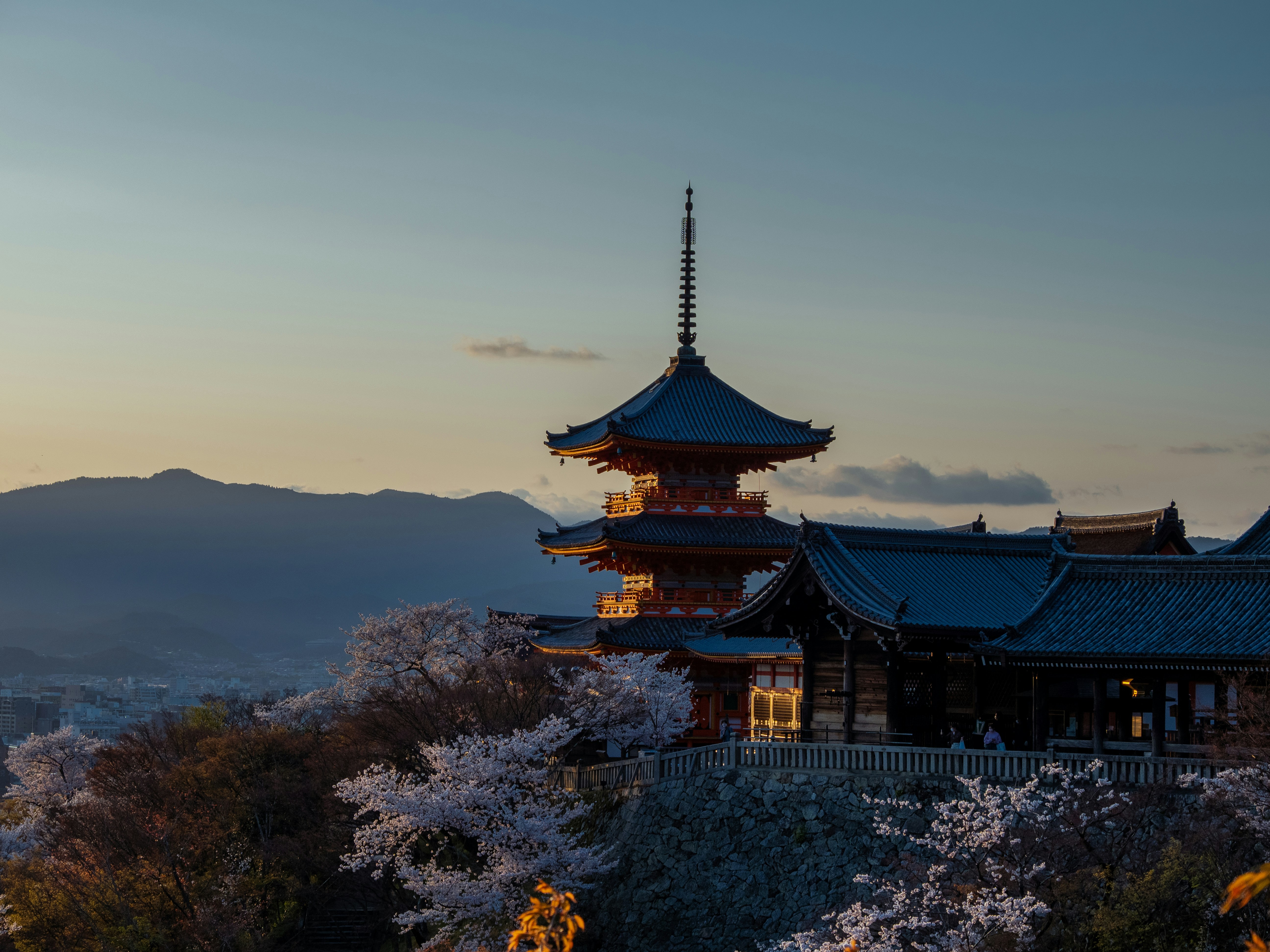 Photo by shellingfordyu