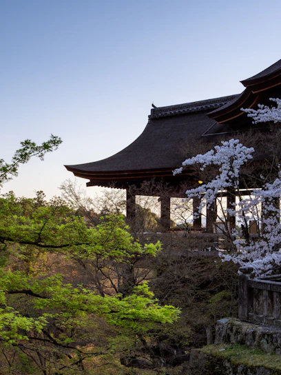 A serene view of cherry blossoms framing a traditional Japanese temple under a clear blue sky.