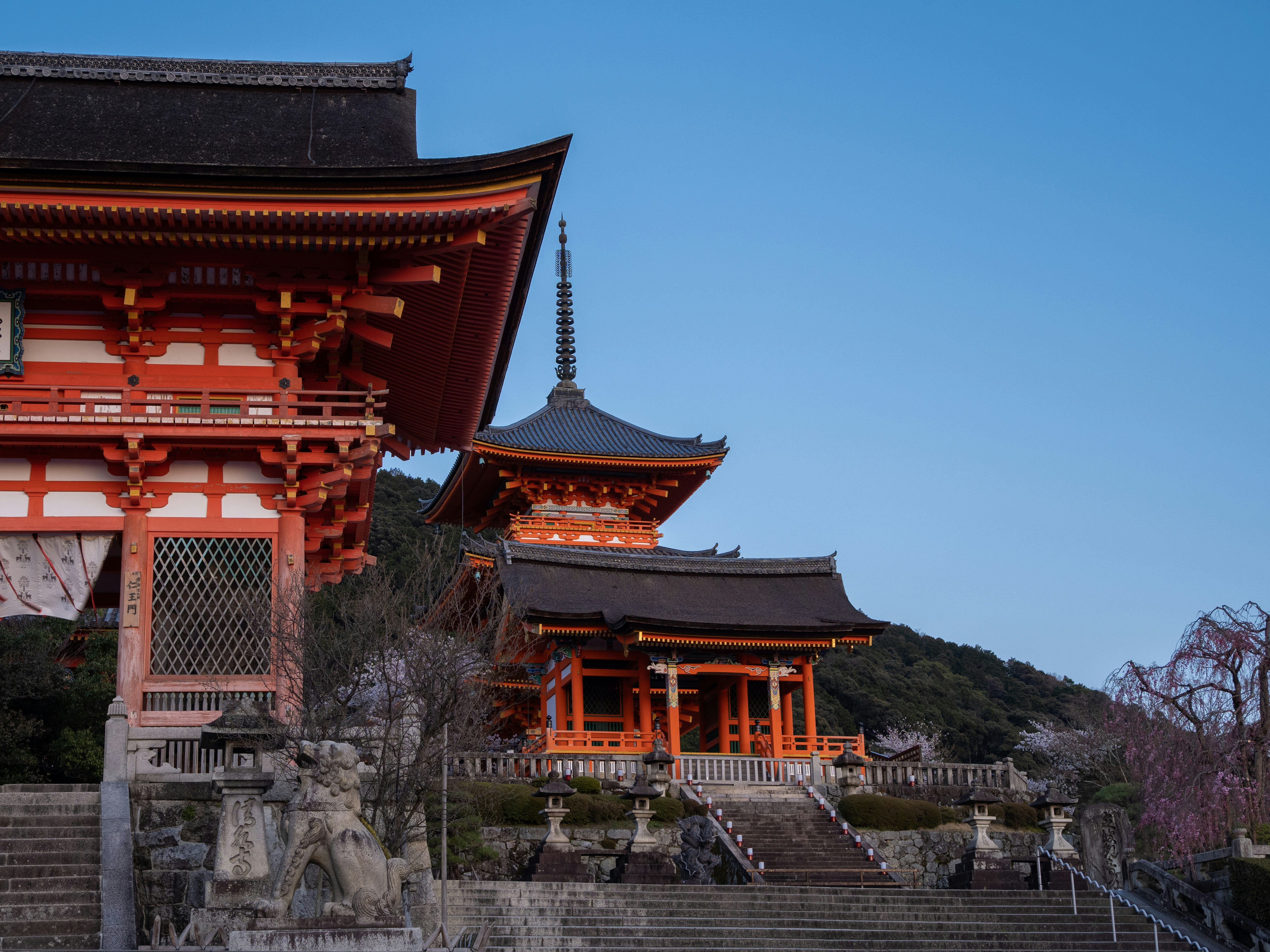 Photo by shellingfordyu