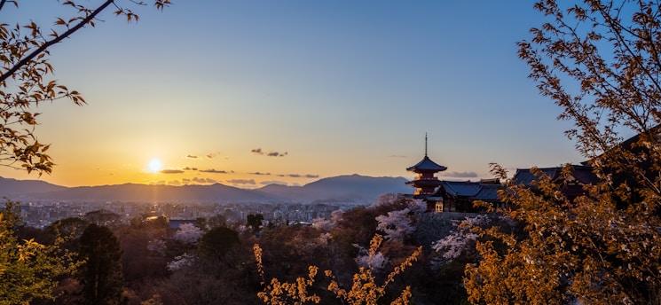 A serene view of a Japanese landscape with cherry blossoms.