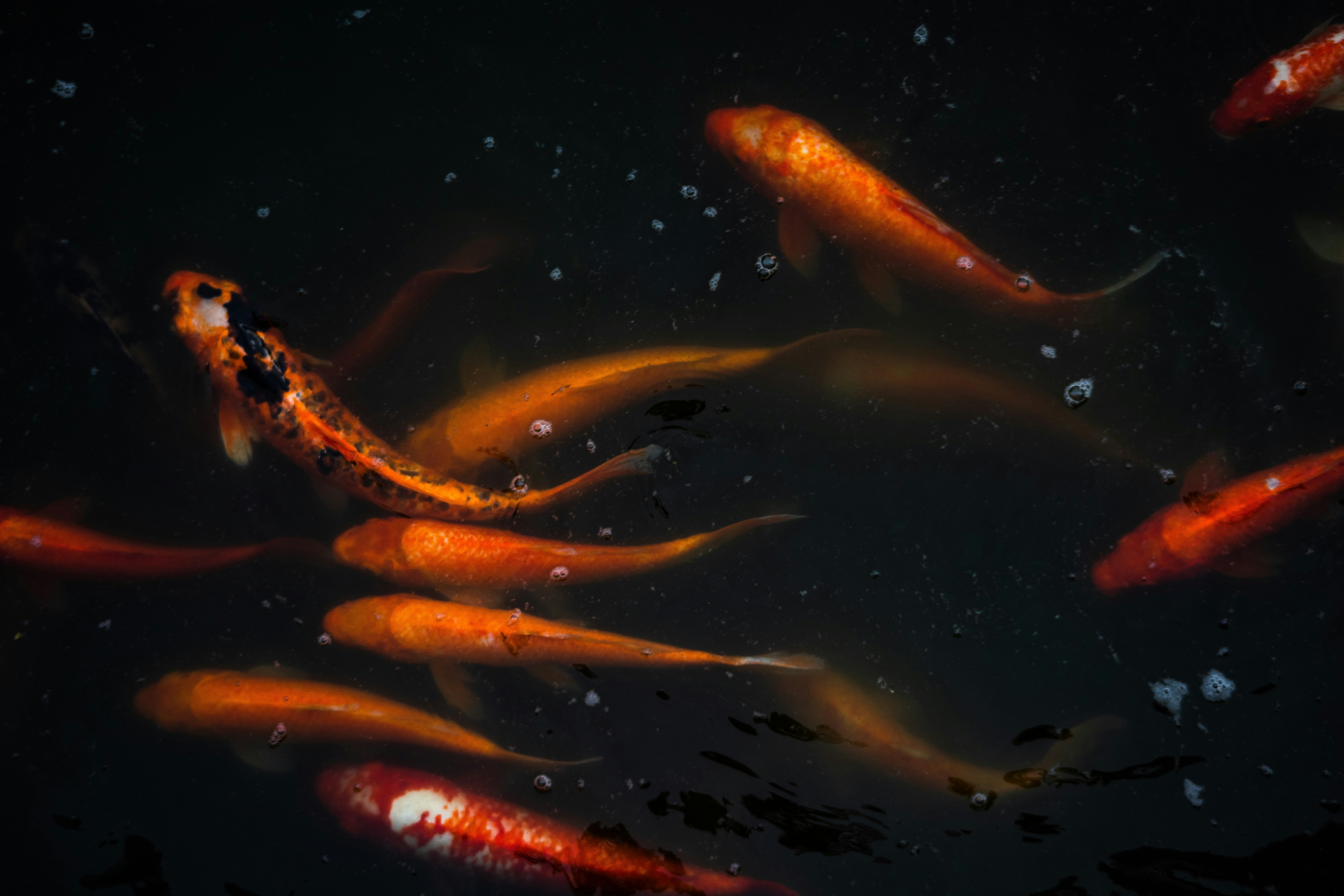 Photo by roadahead_2223