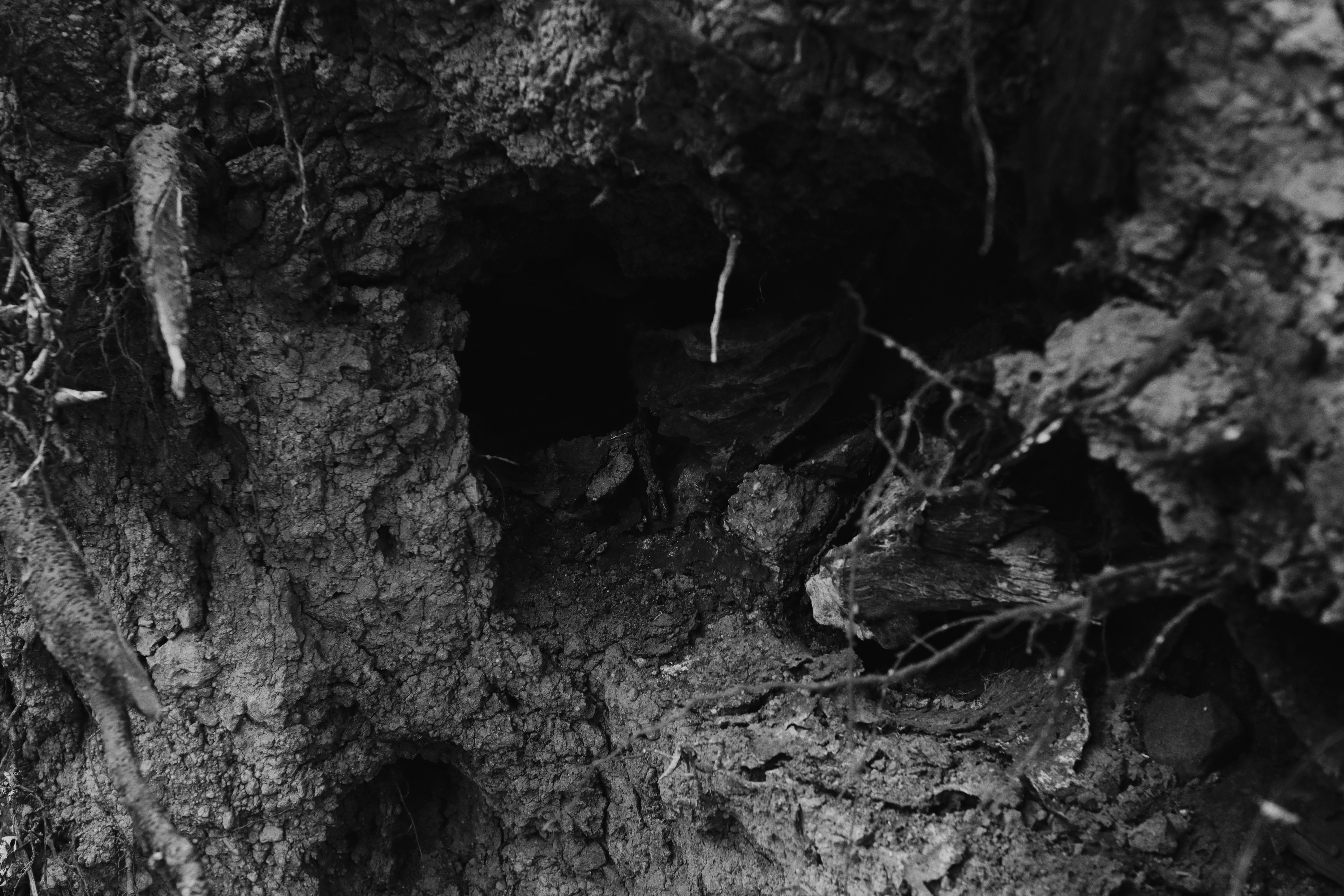 Photo by roadahead_2223