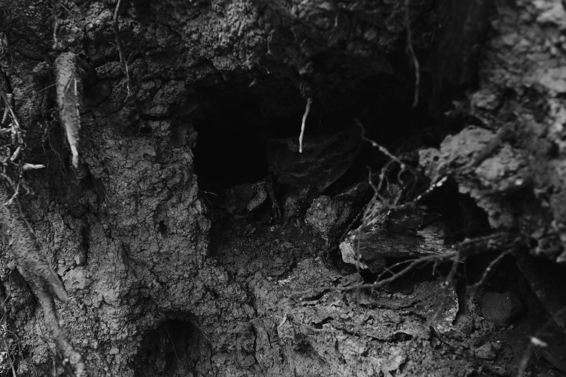 black and white bed linen