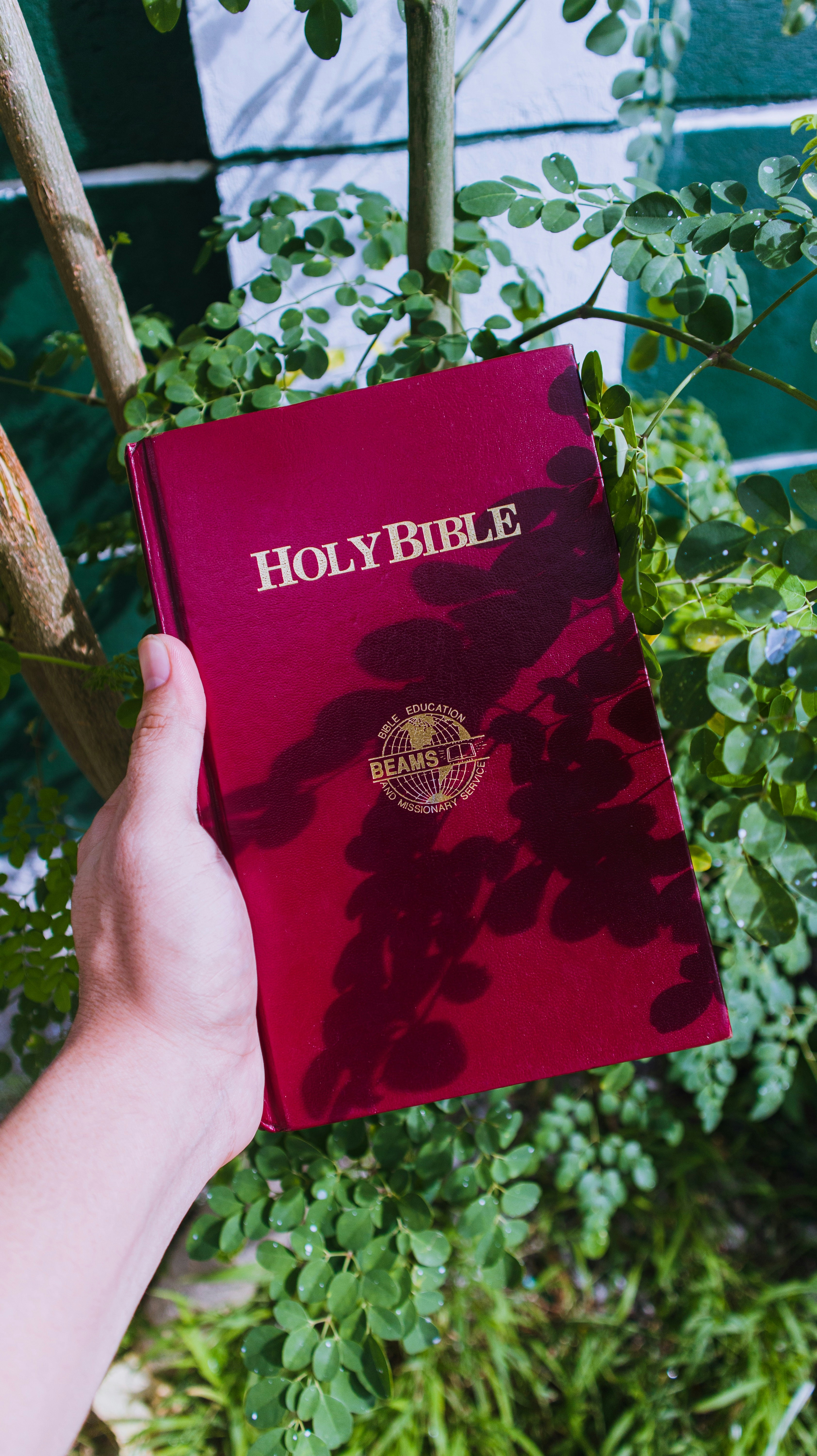 a person holding a red bible in their hand