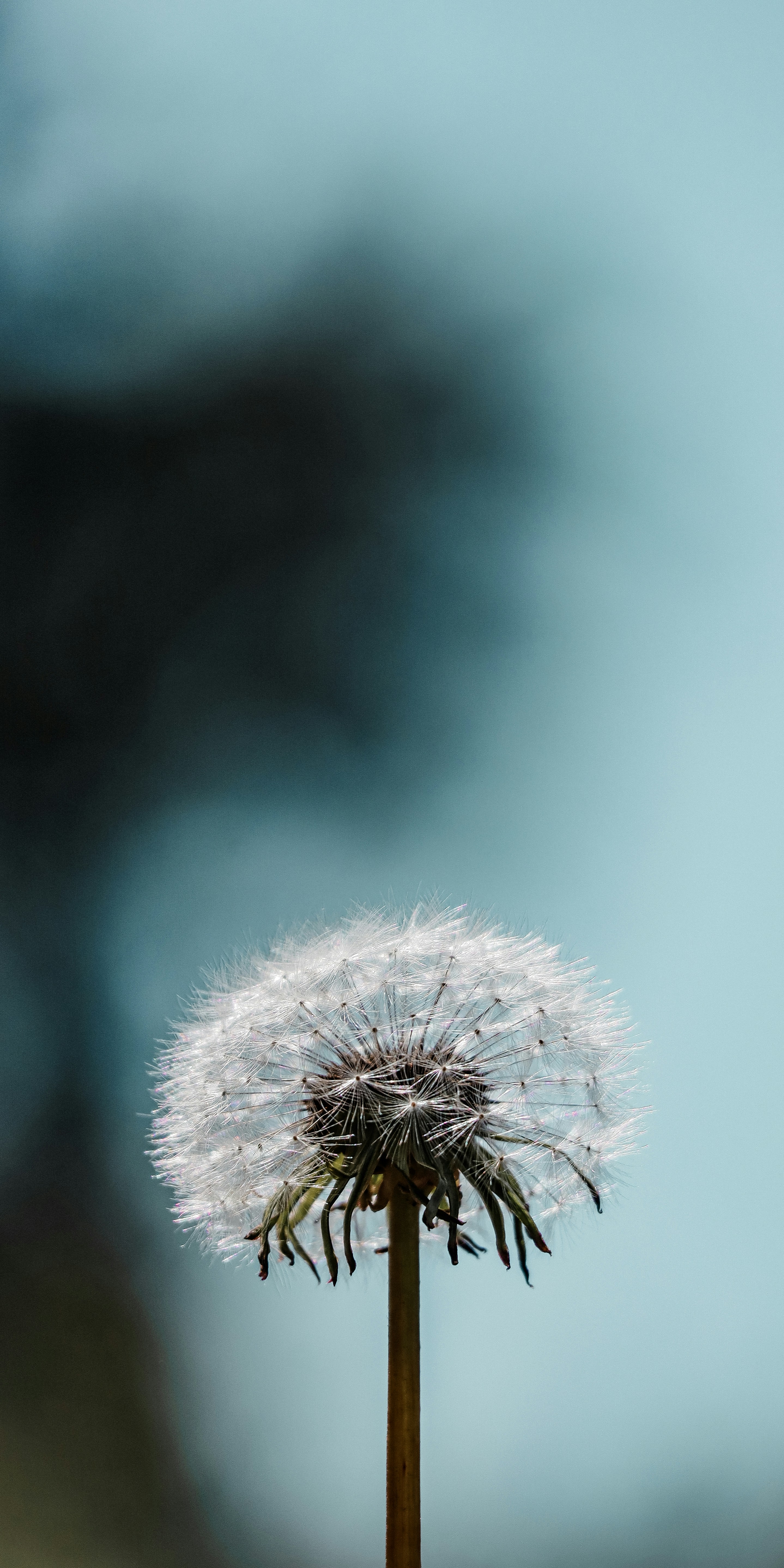 Photo by lewisltf