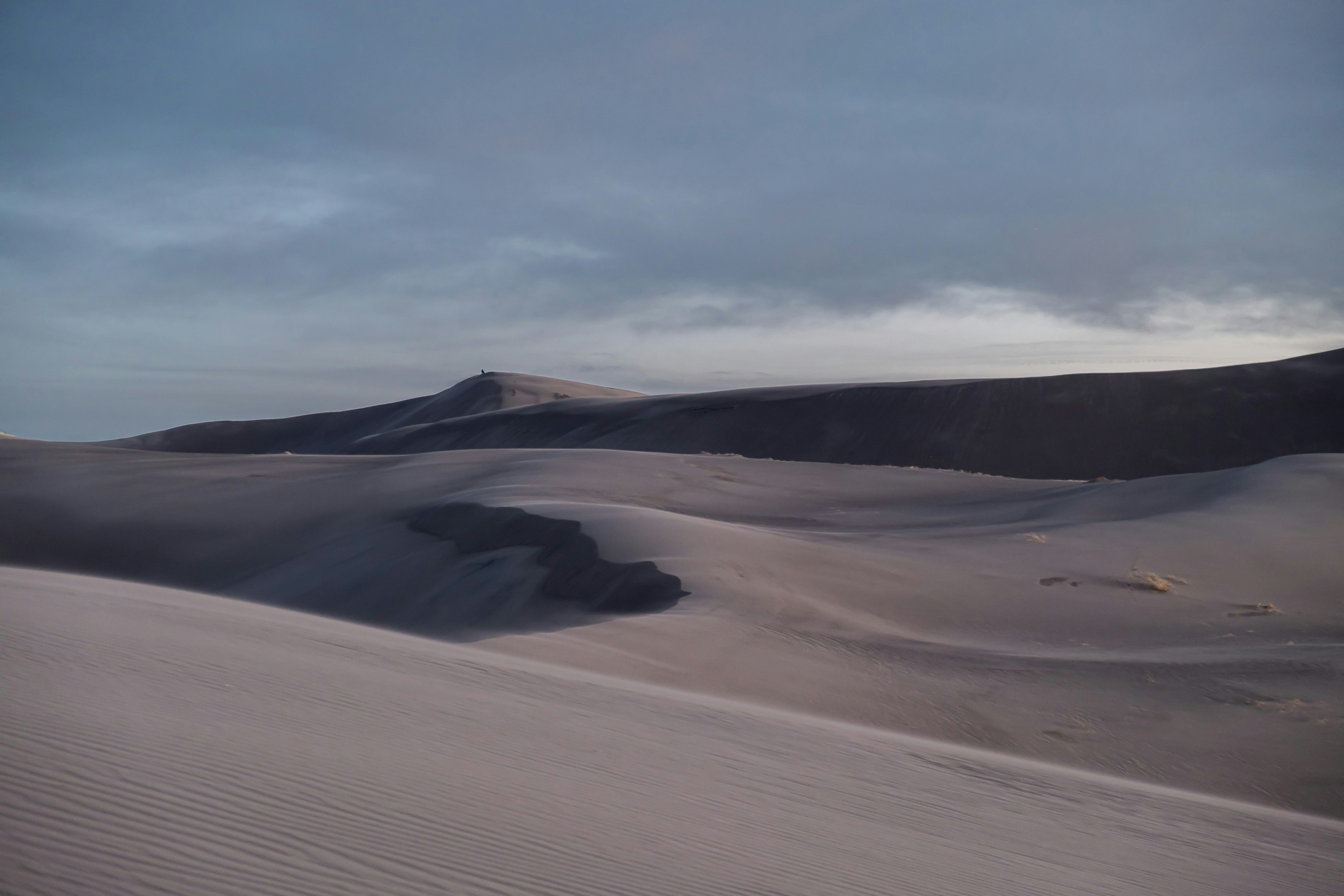 Photo by samsheppardphoto