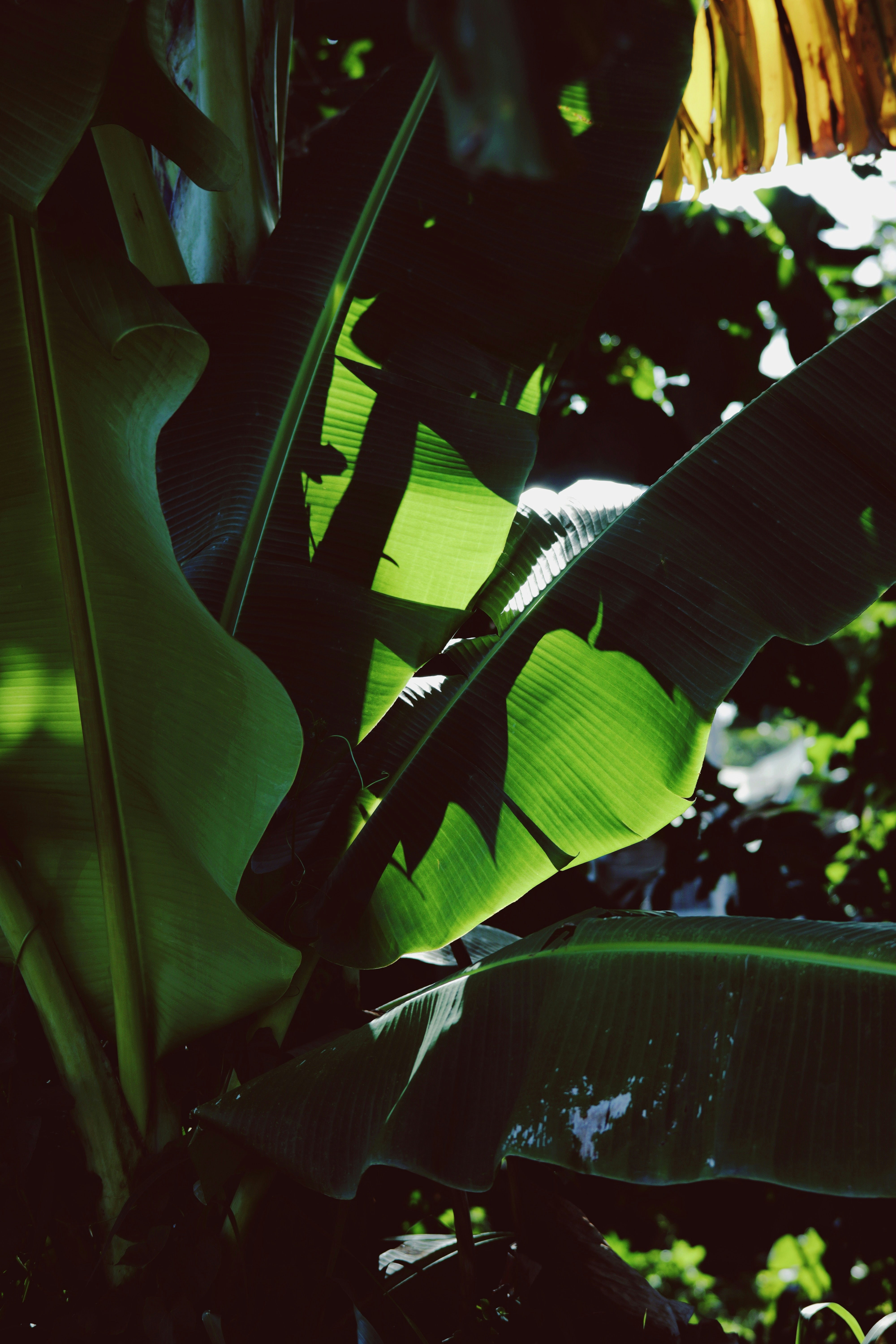 Photo by roadahead_2223