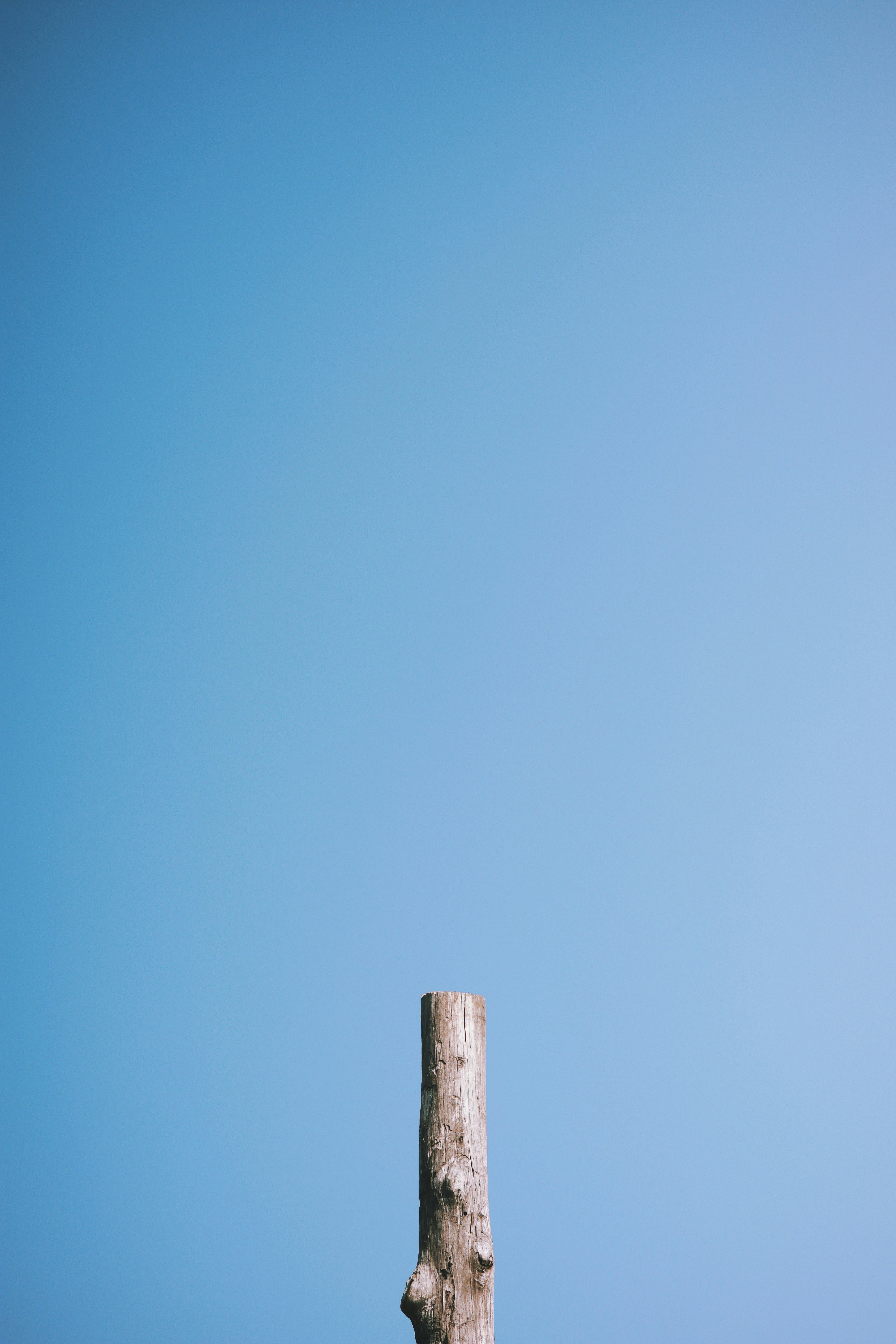 Photo by roadahead_2223