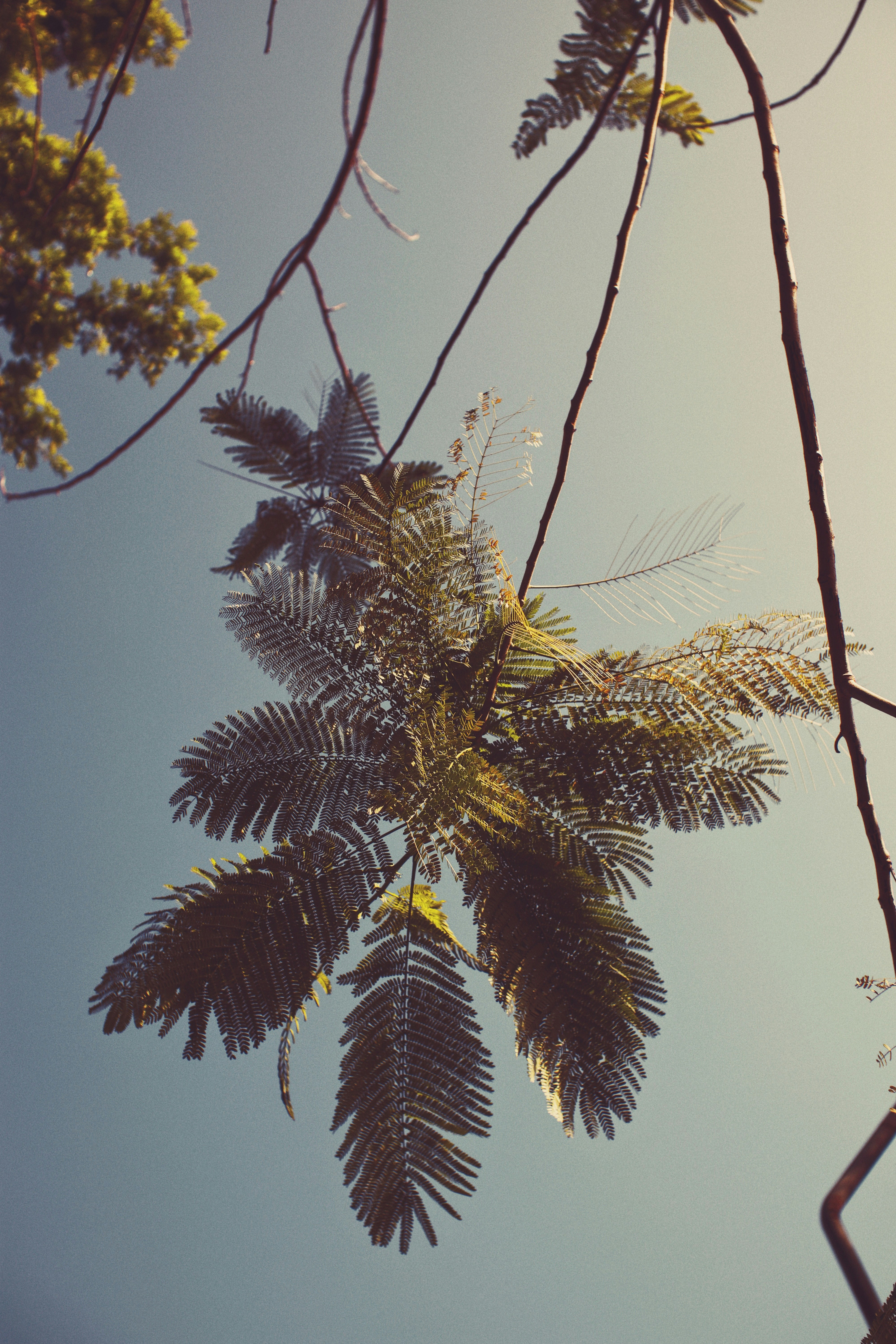 Photo by roadahead_2223