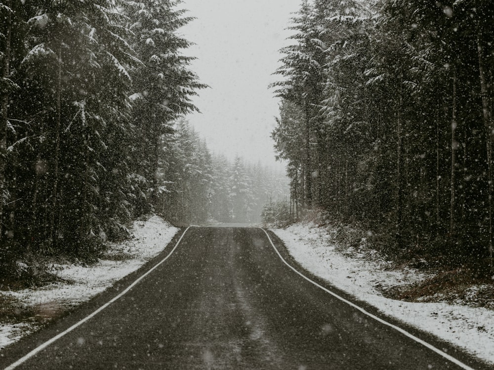 a snowy road surrounded by trees and snow