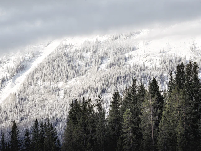 27-Day USA & Canada Winter Budget Itinerary