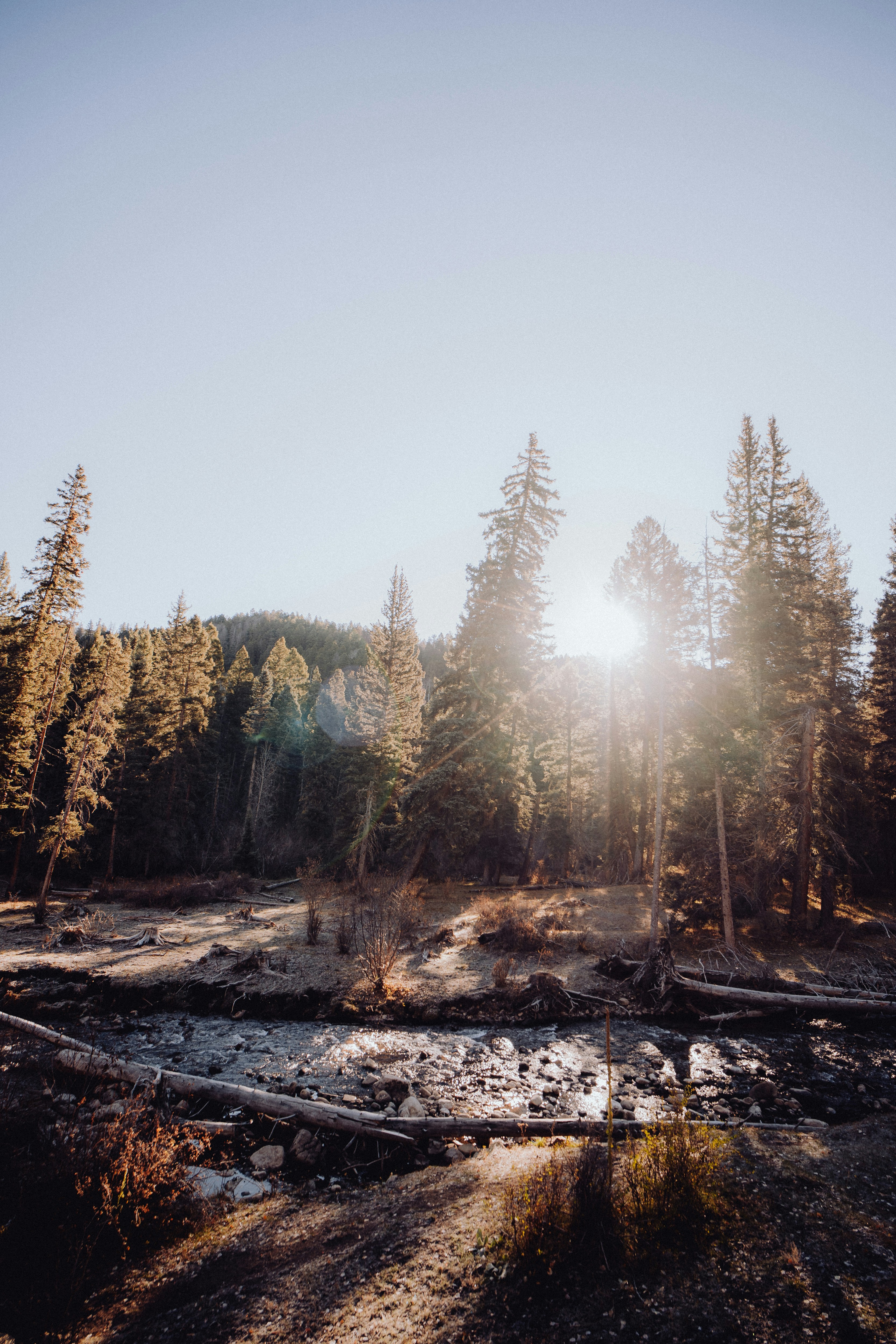 The Psychology of Rights Consciousness