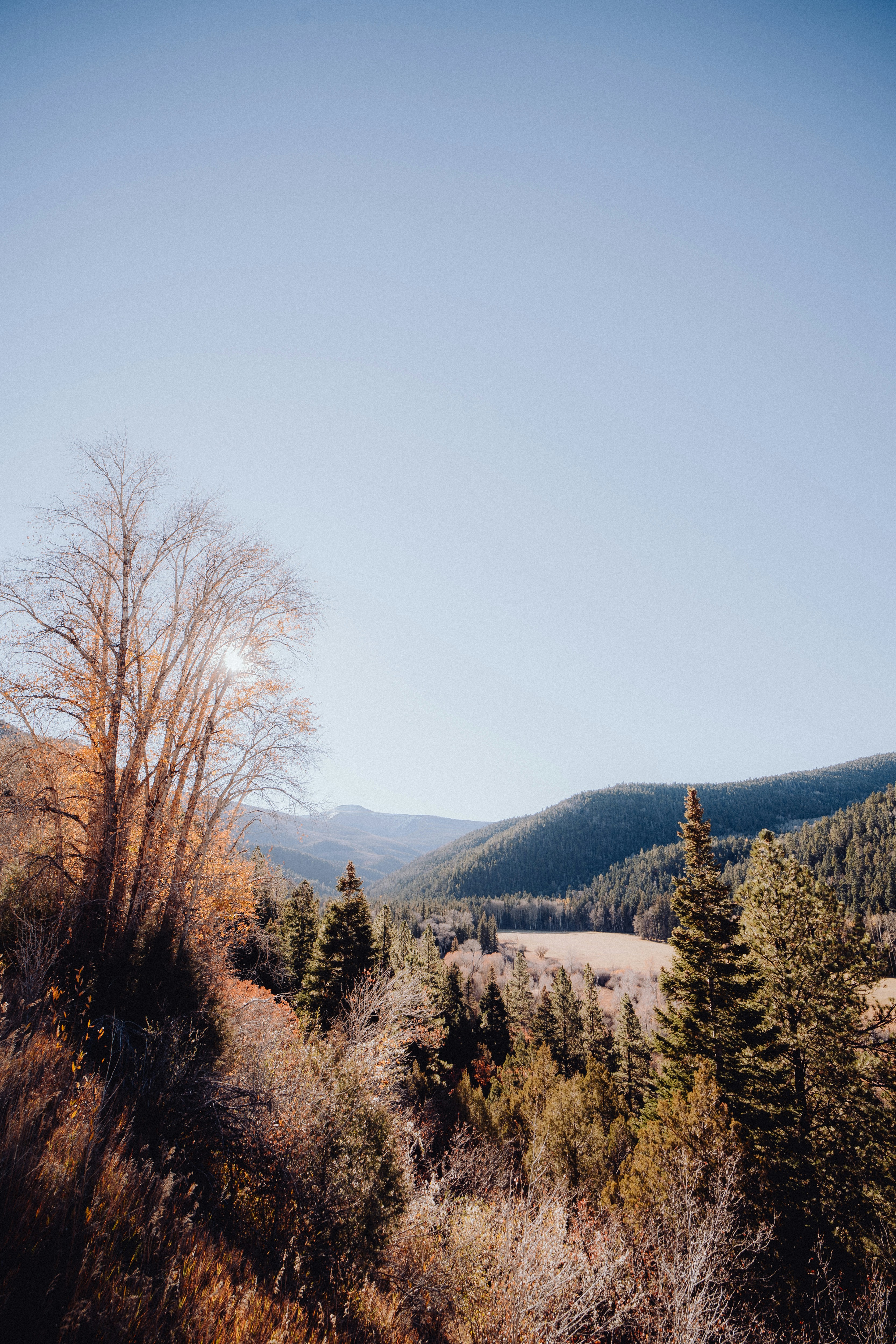 Photo by baileyal3xander