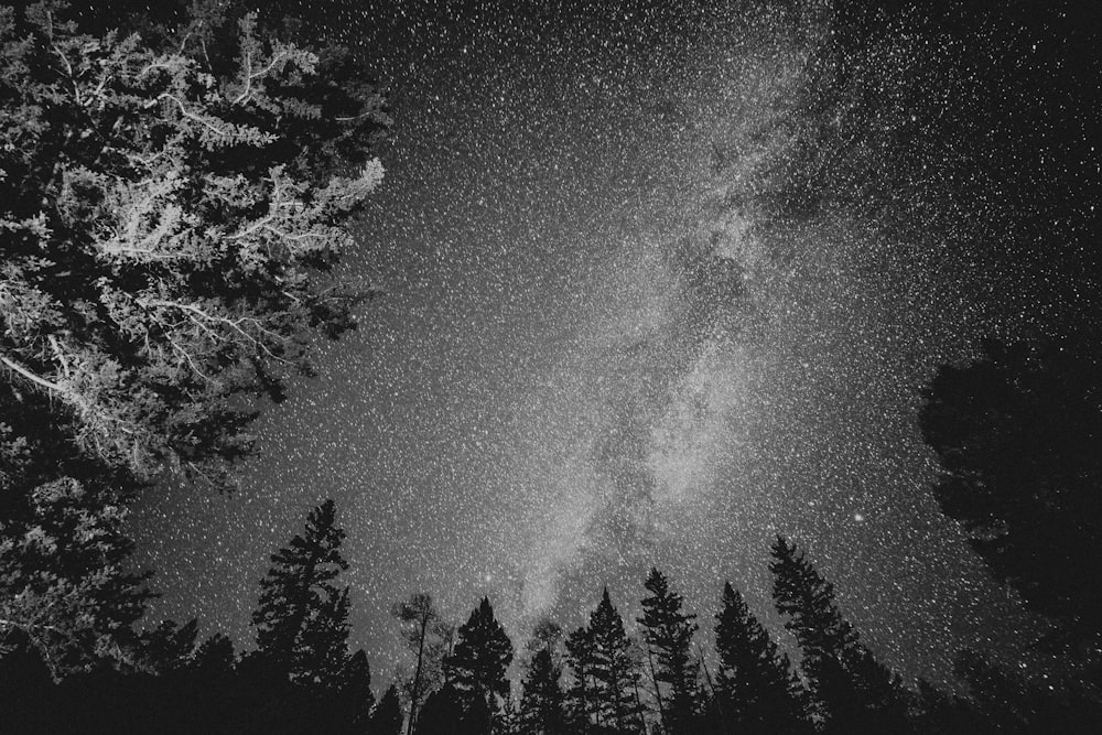 a black and white photo of the night sky