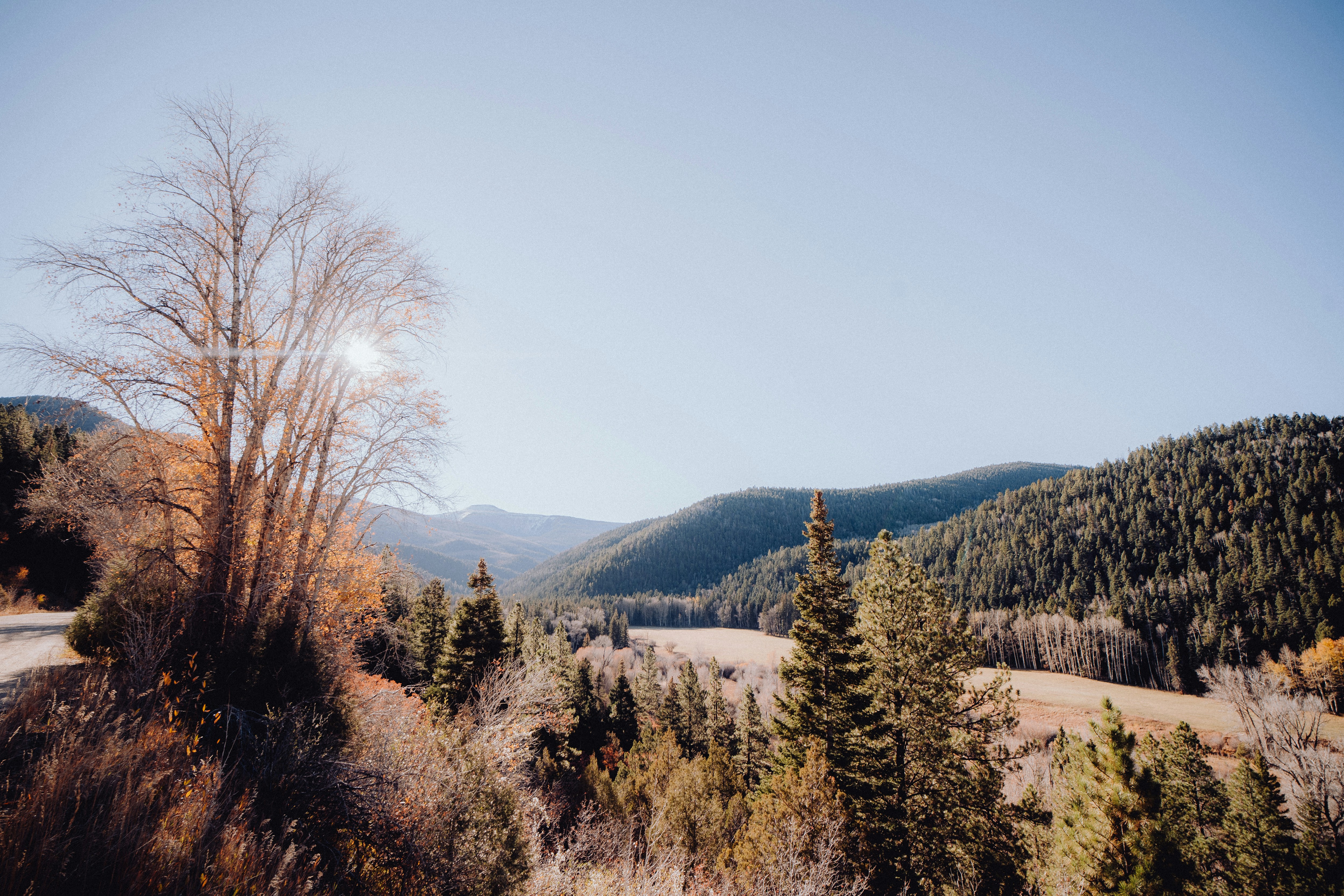 Photo by baileyal3xander