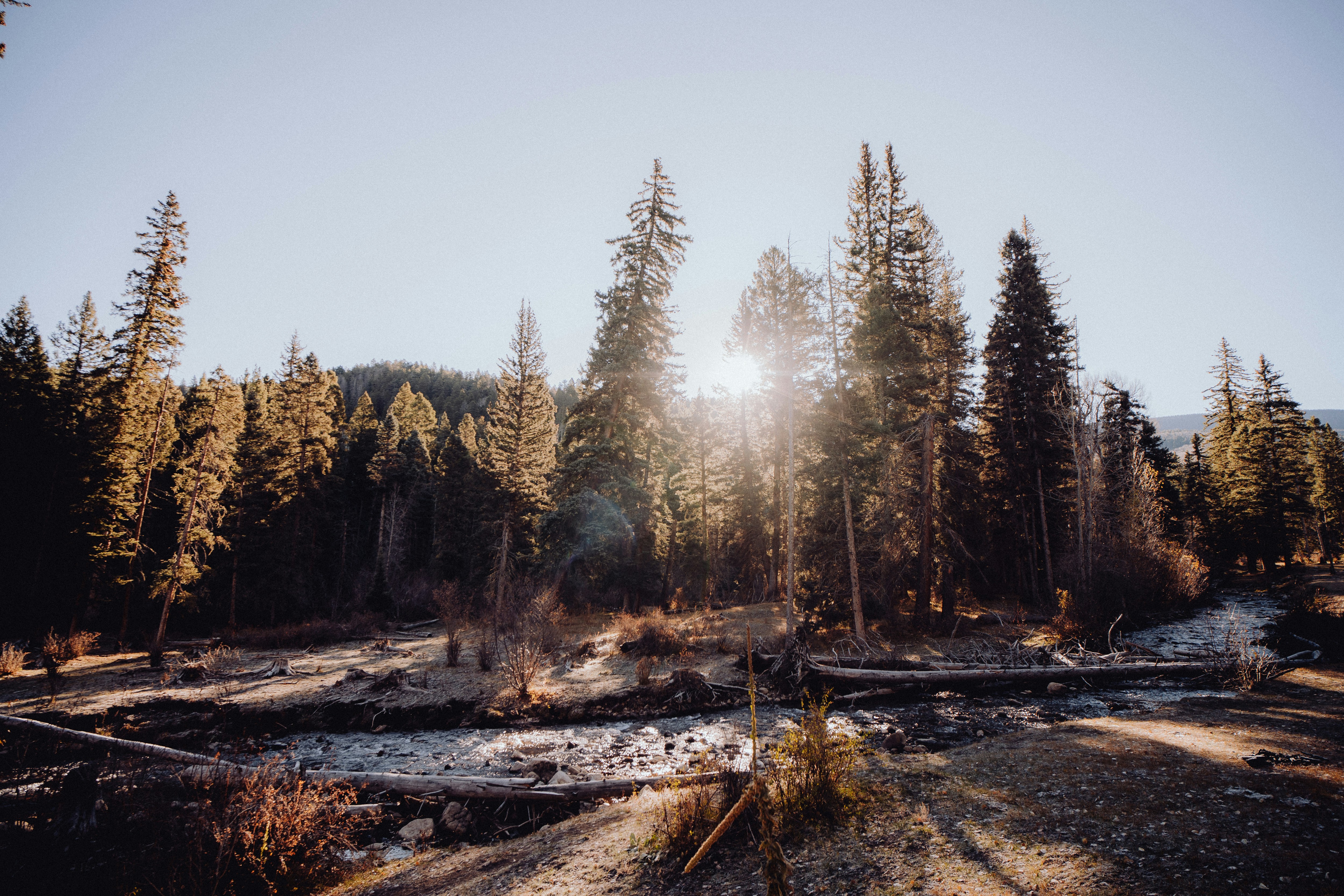 Photo by baileyal3xander