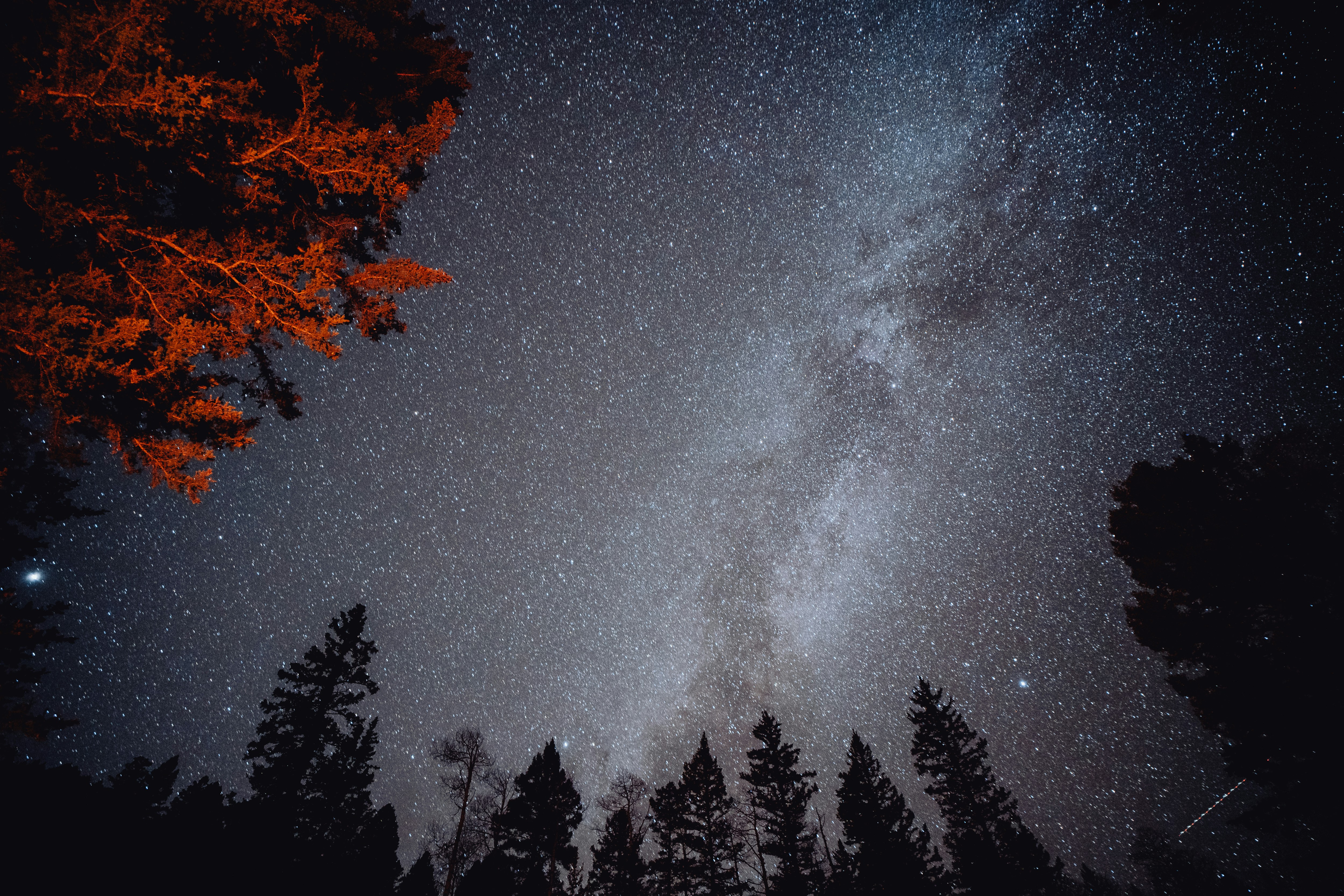 Photo by baileyal3xander