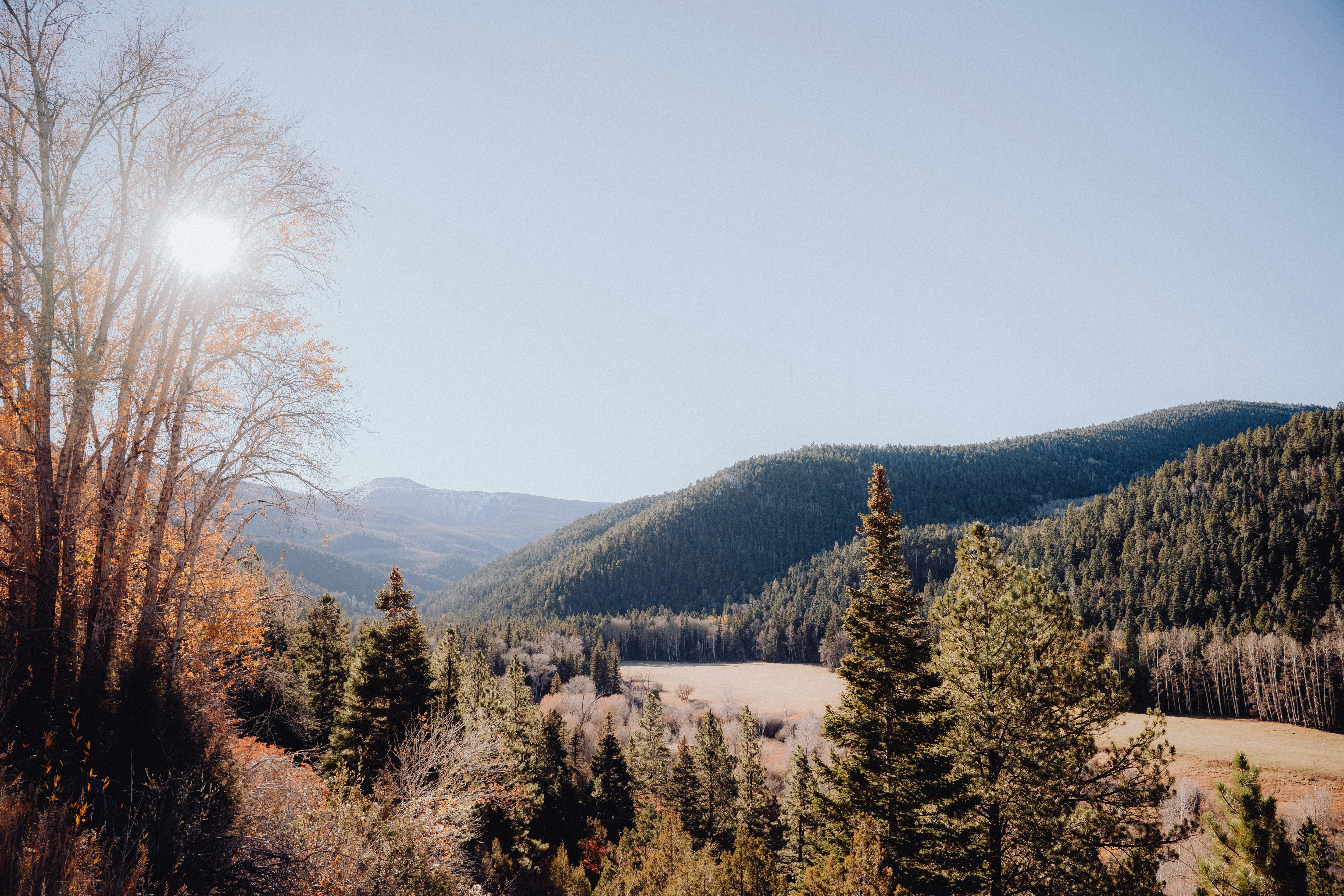 a view of a mountain range with trees in the foreground