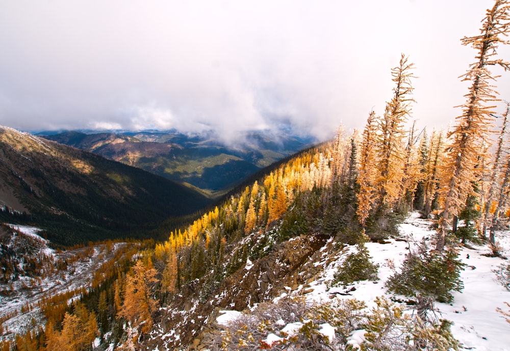 a view of a mountain range with trees in the foreground