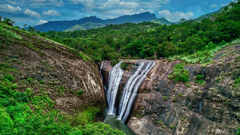 Waterfall in green forest (representative photo)
