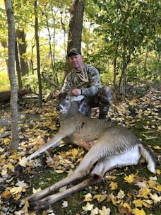 A person in camouflage clothing is kneeling in a forested area amidst fallen autumn leaves, holding the antlers of a large deer that is lying on the ground. The forest is dense with trees and the ground is covered in yellow and brown leaves.