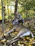 A hunter dressed in camo gear kneeling beside a freshly caught deer in a forest clearing.
