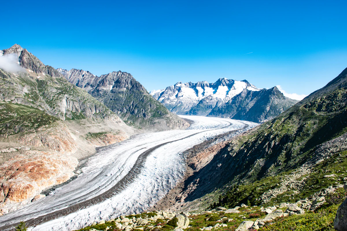 The Aletsch Glacier curving between rocky ridges under a clear blue sky