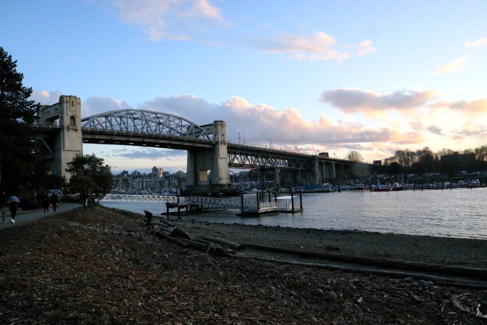 a bridge over a body of water next to a forest