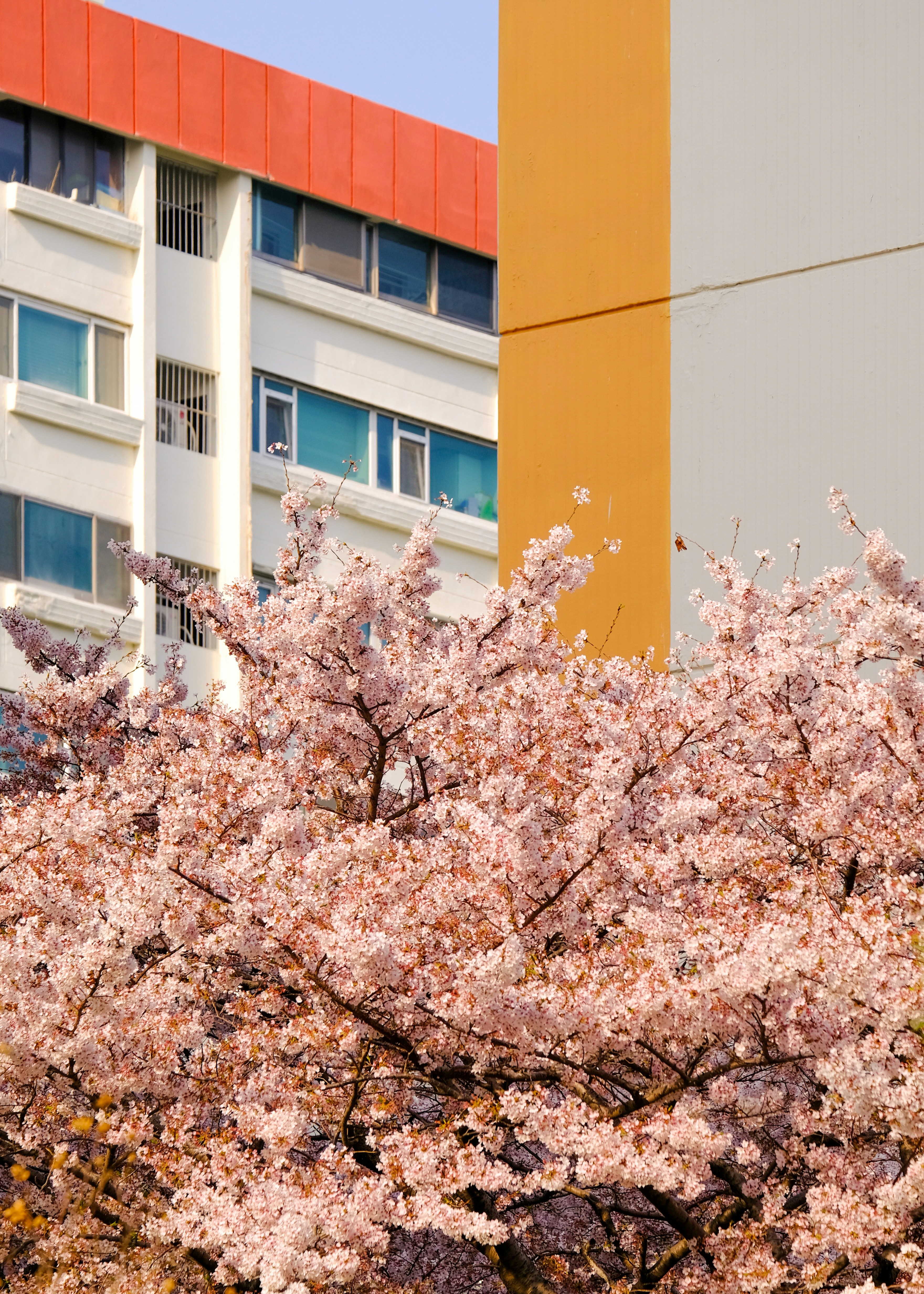 Busan – Neighborhoods & Urban Structure