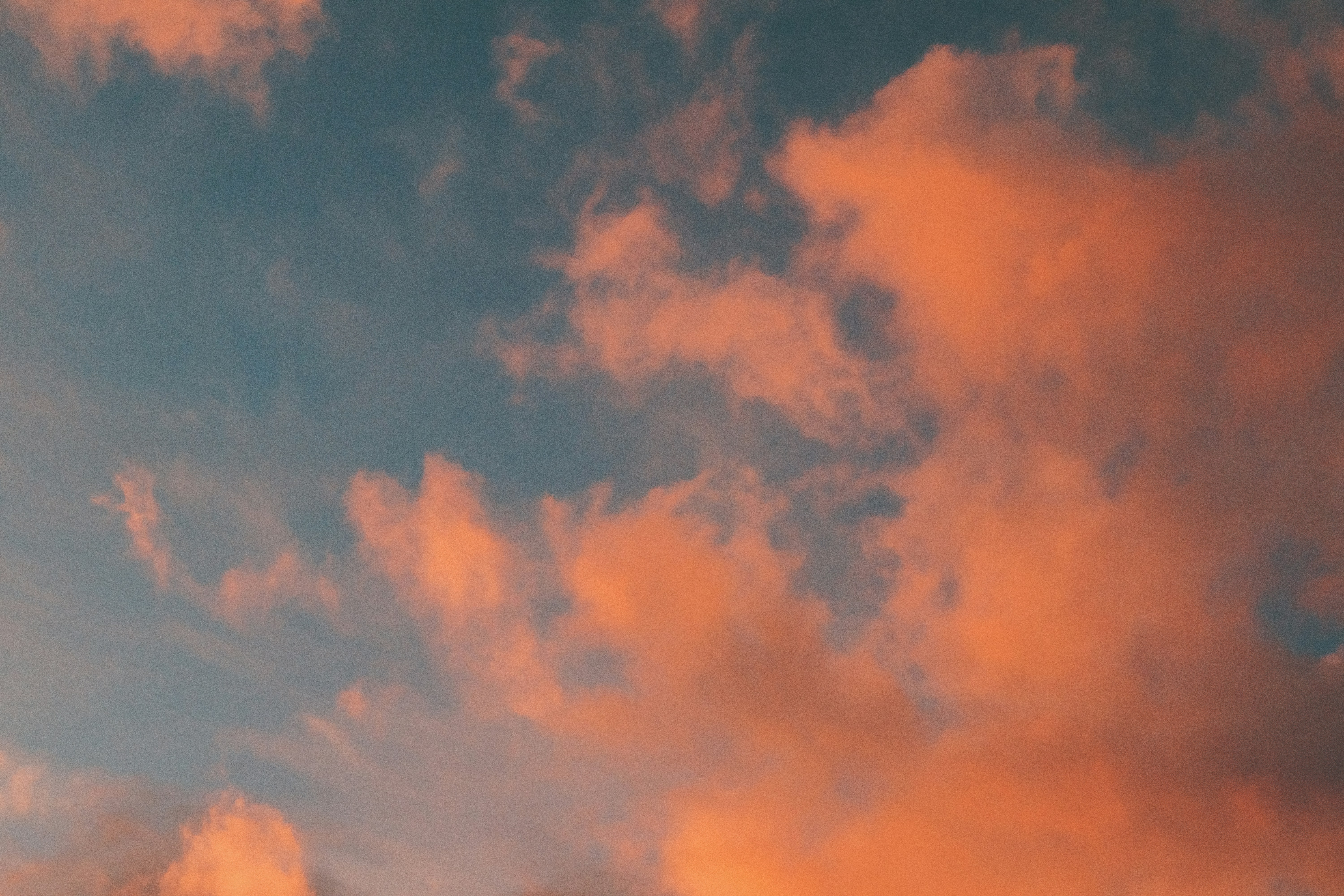 Photo by sinewavekid