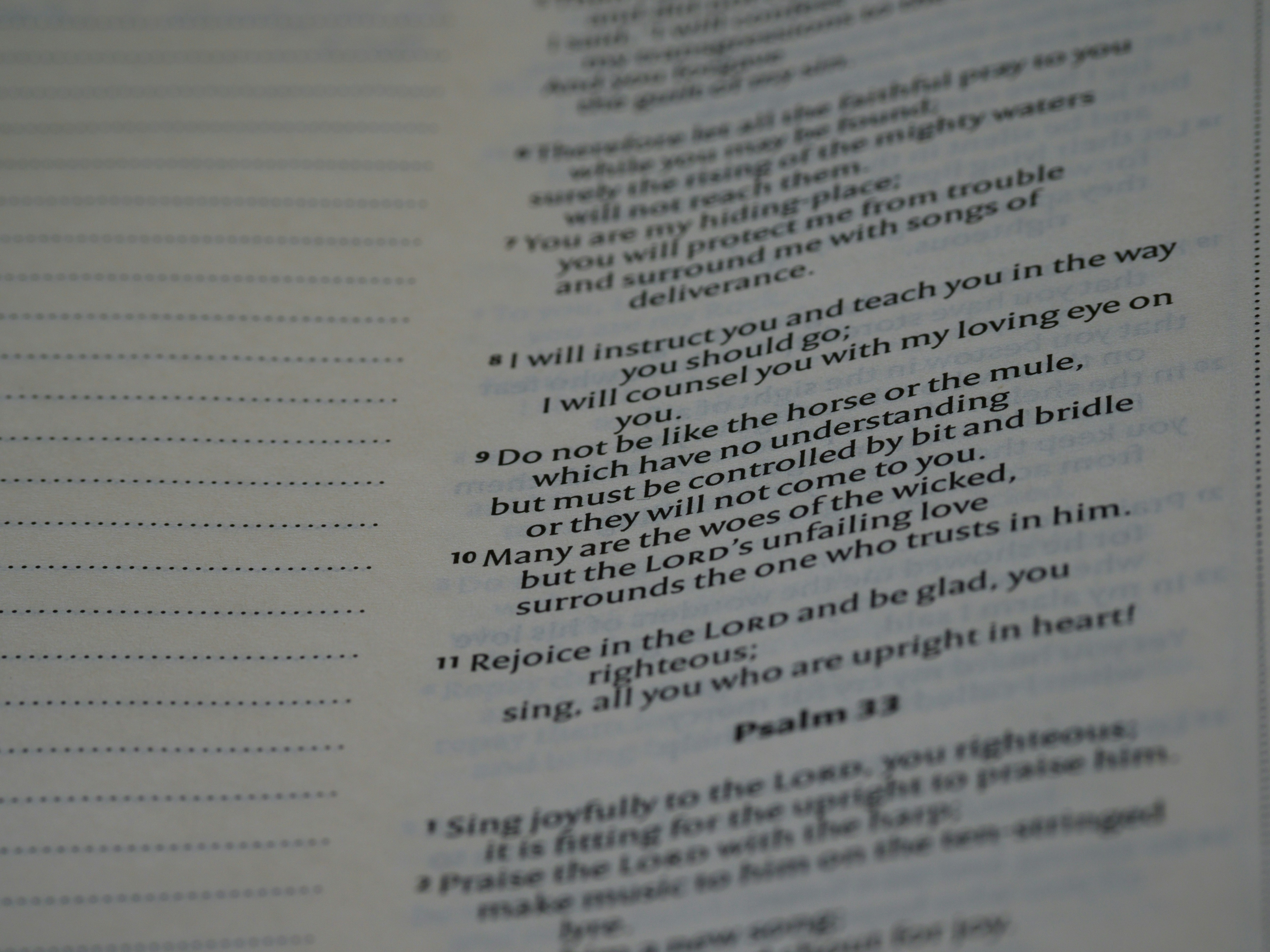 Photo by brett_jordan