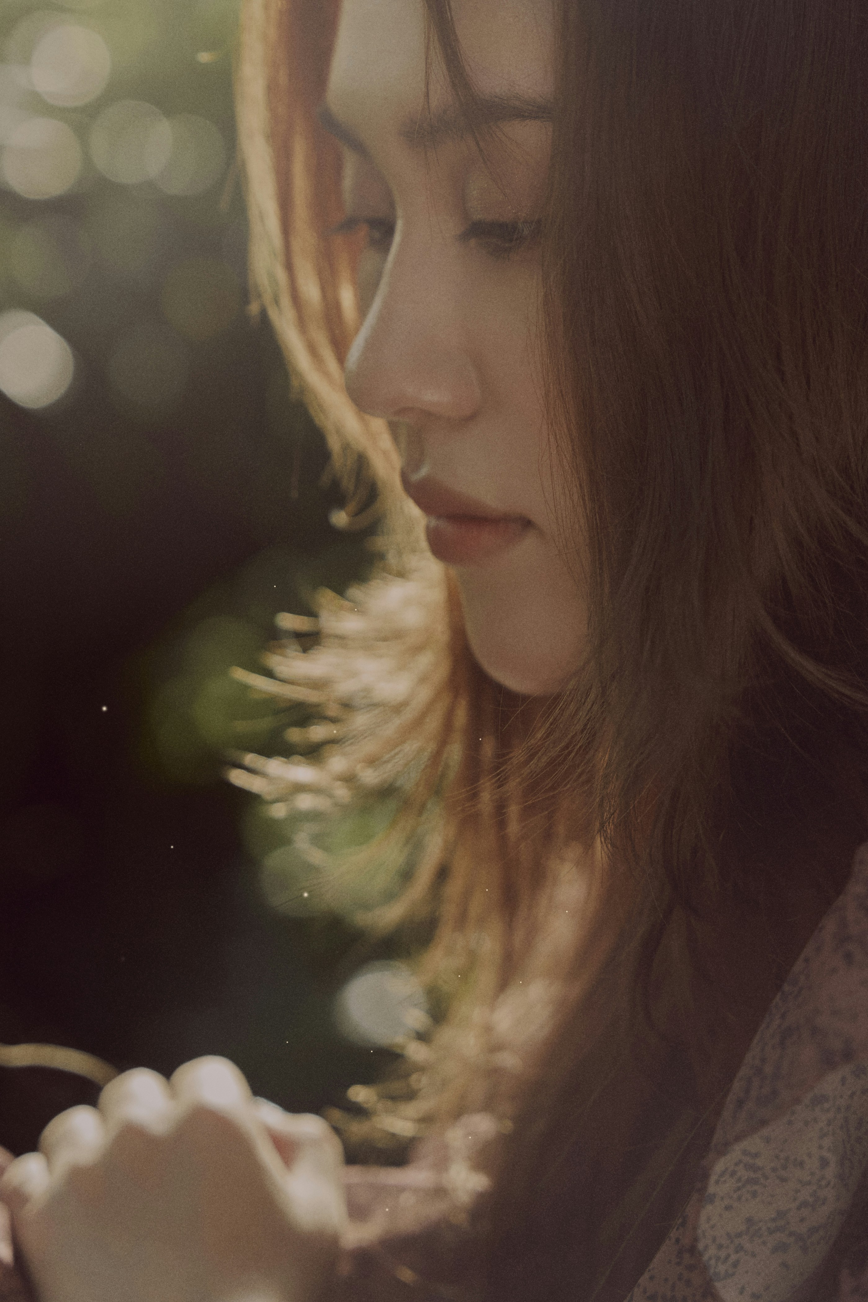 Photo by thanhthangphoto