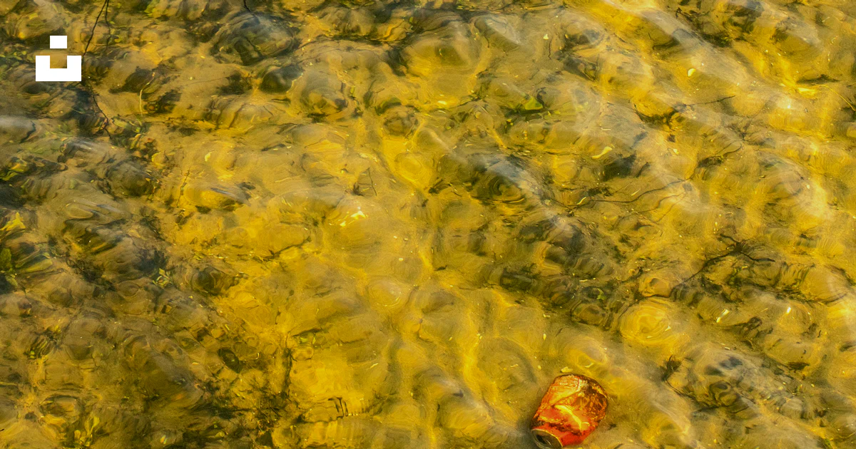 Water Objects A red object floating on top of a body of water photo – Free Goedereede ...