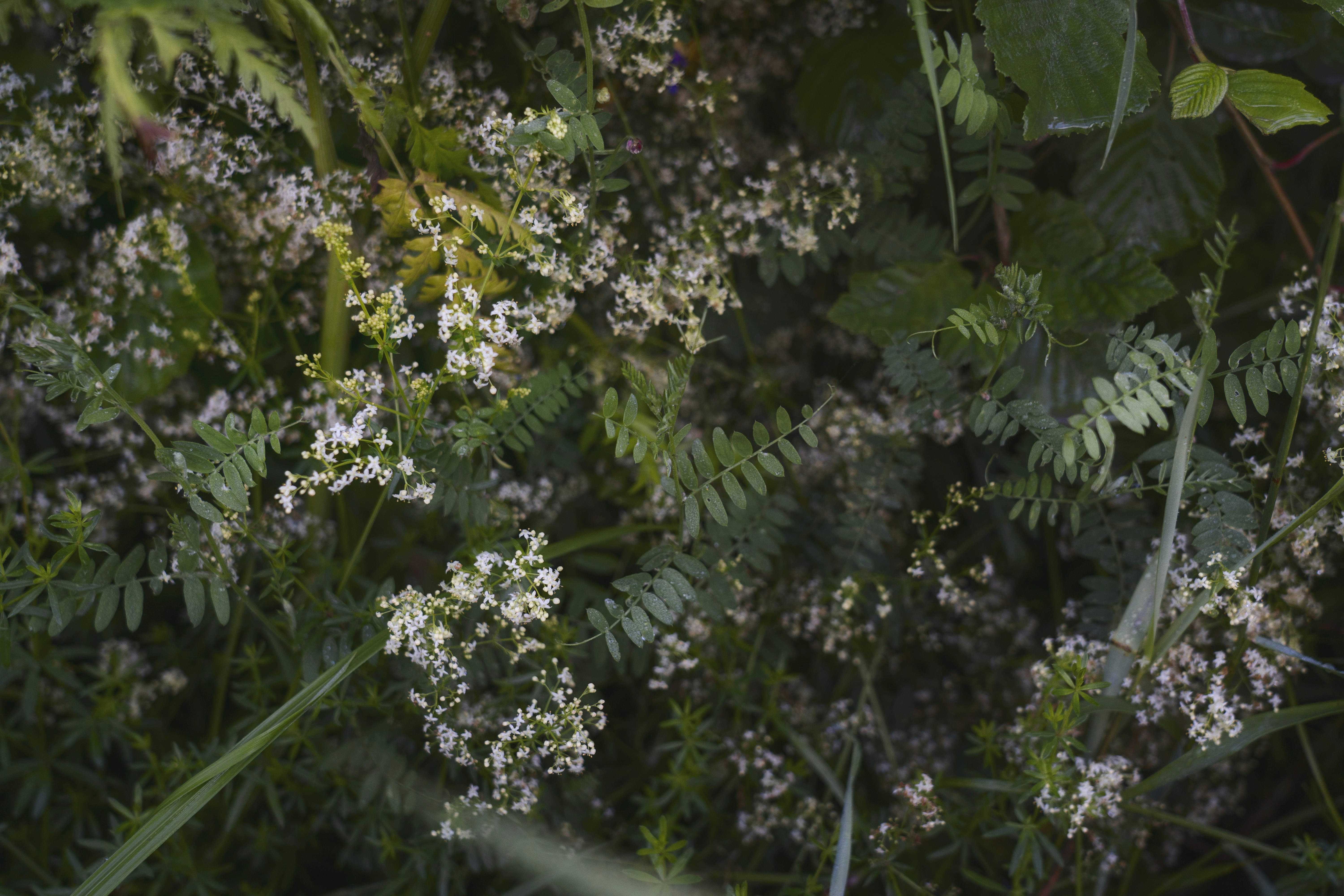 Photo by svetlanaaprel