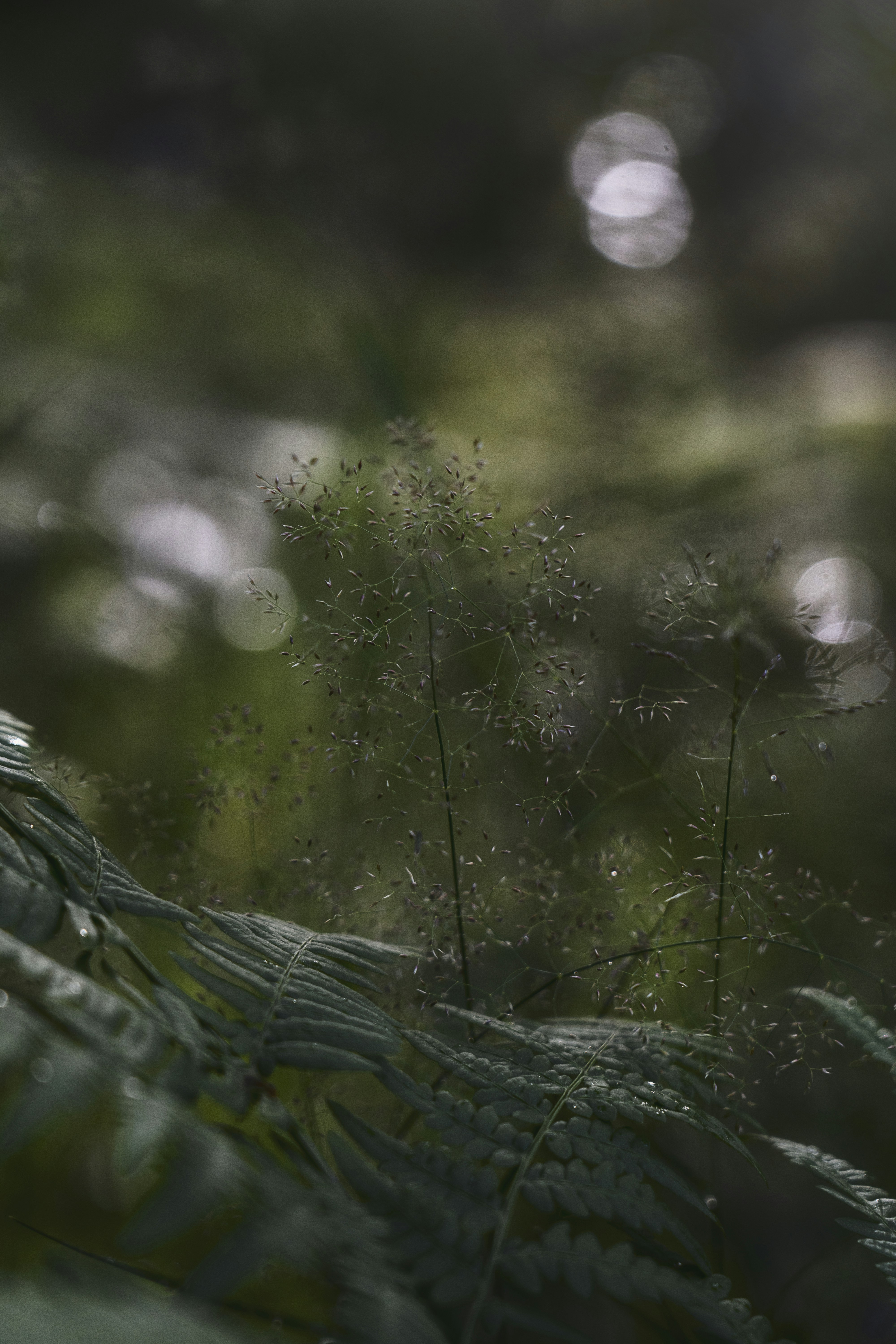 Photo by svetlanaaprel