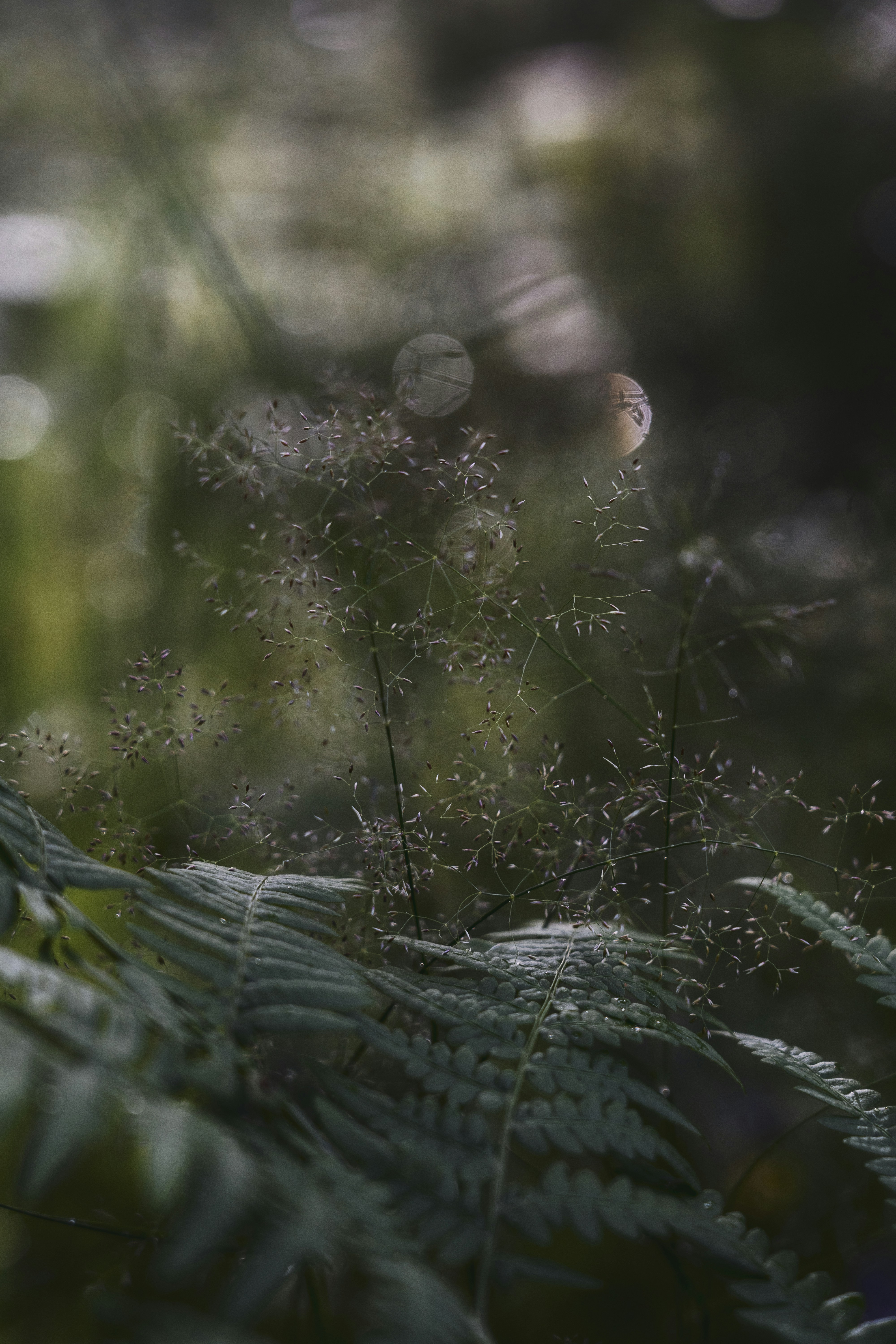 Photo by svetlanaaprel