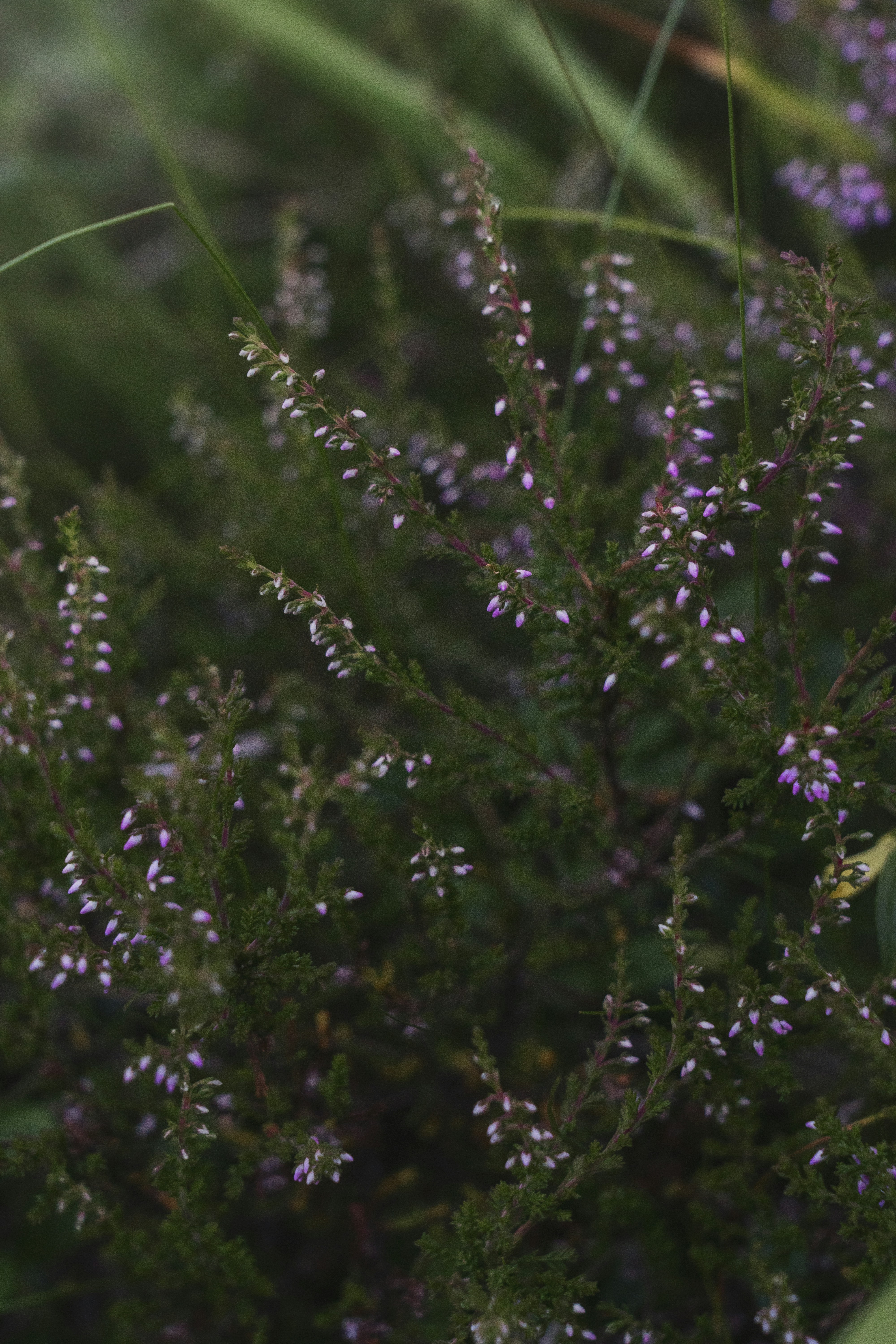 Photo by svetlanaaprel