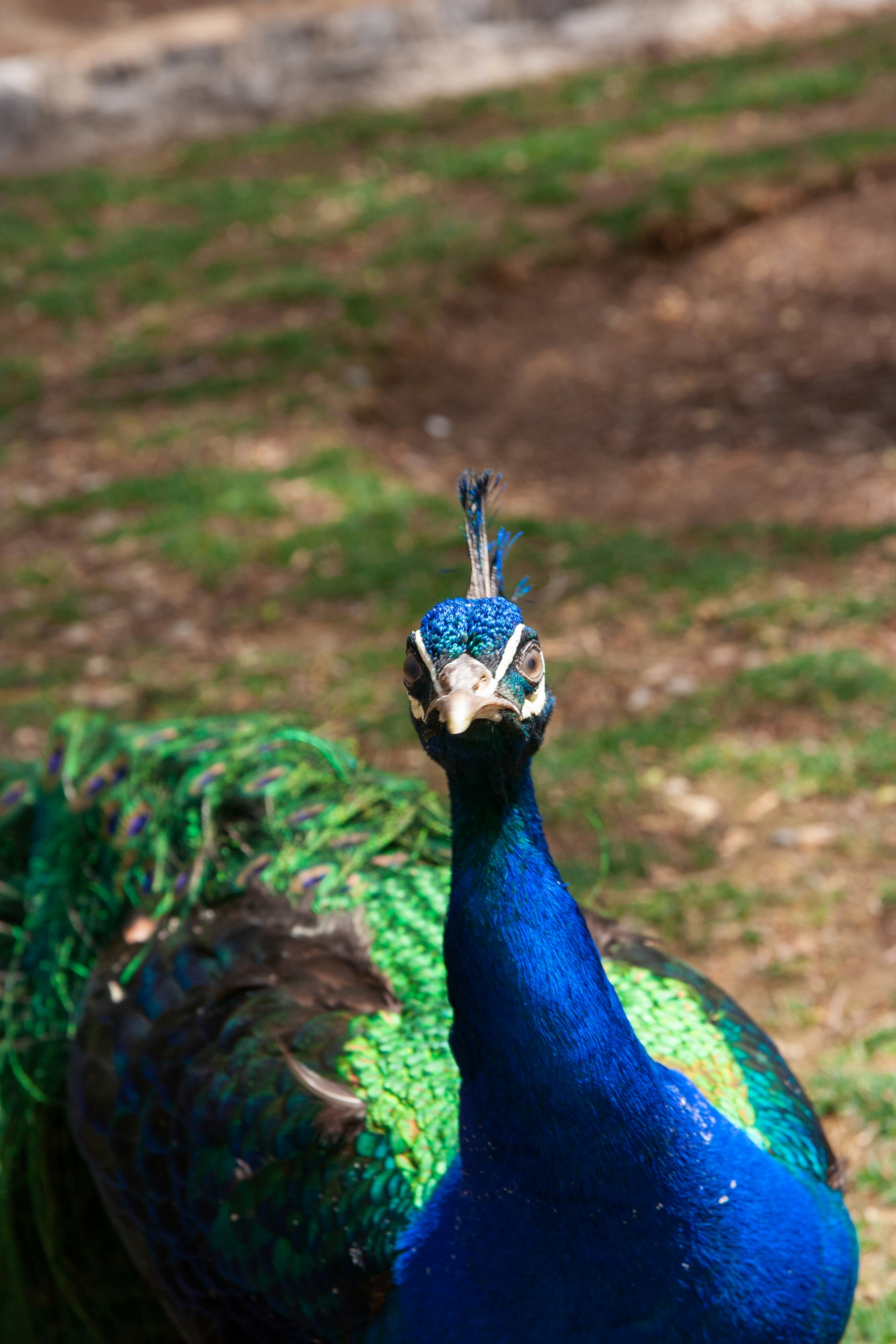 Photo by bita_eskandari