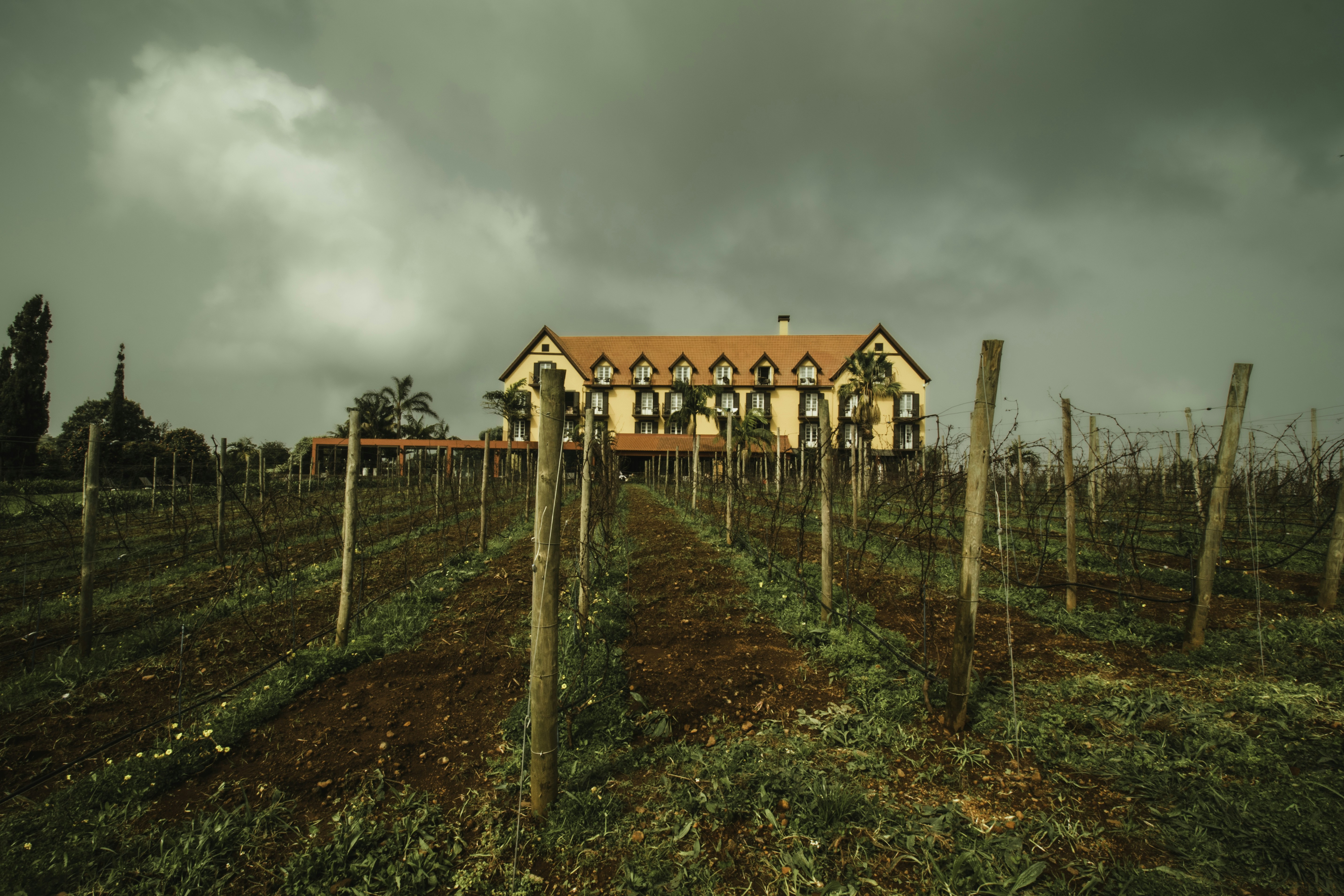 Ultra Skyrunning Madeira