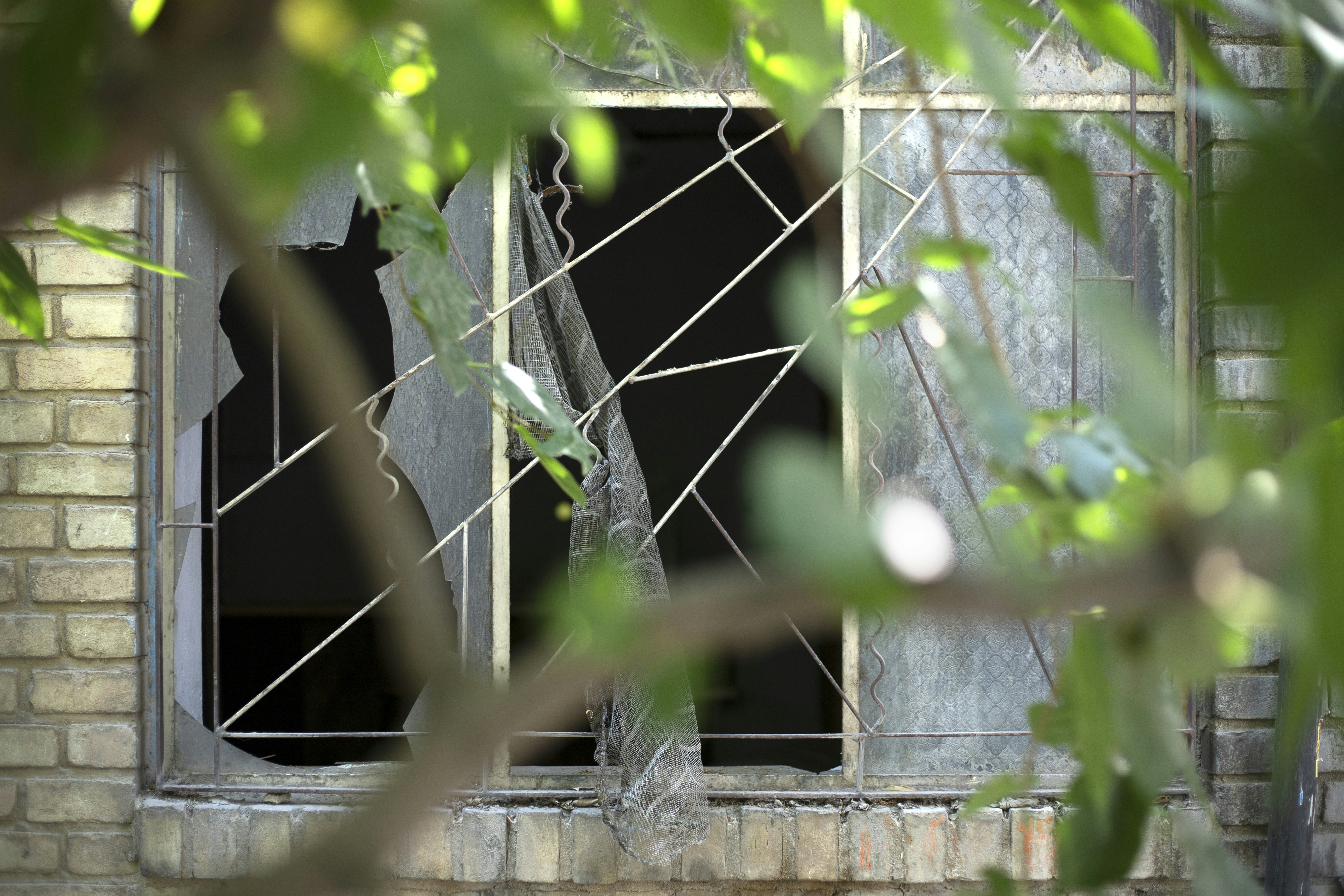 Photo by nahalkavand