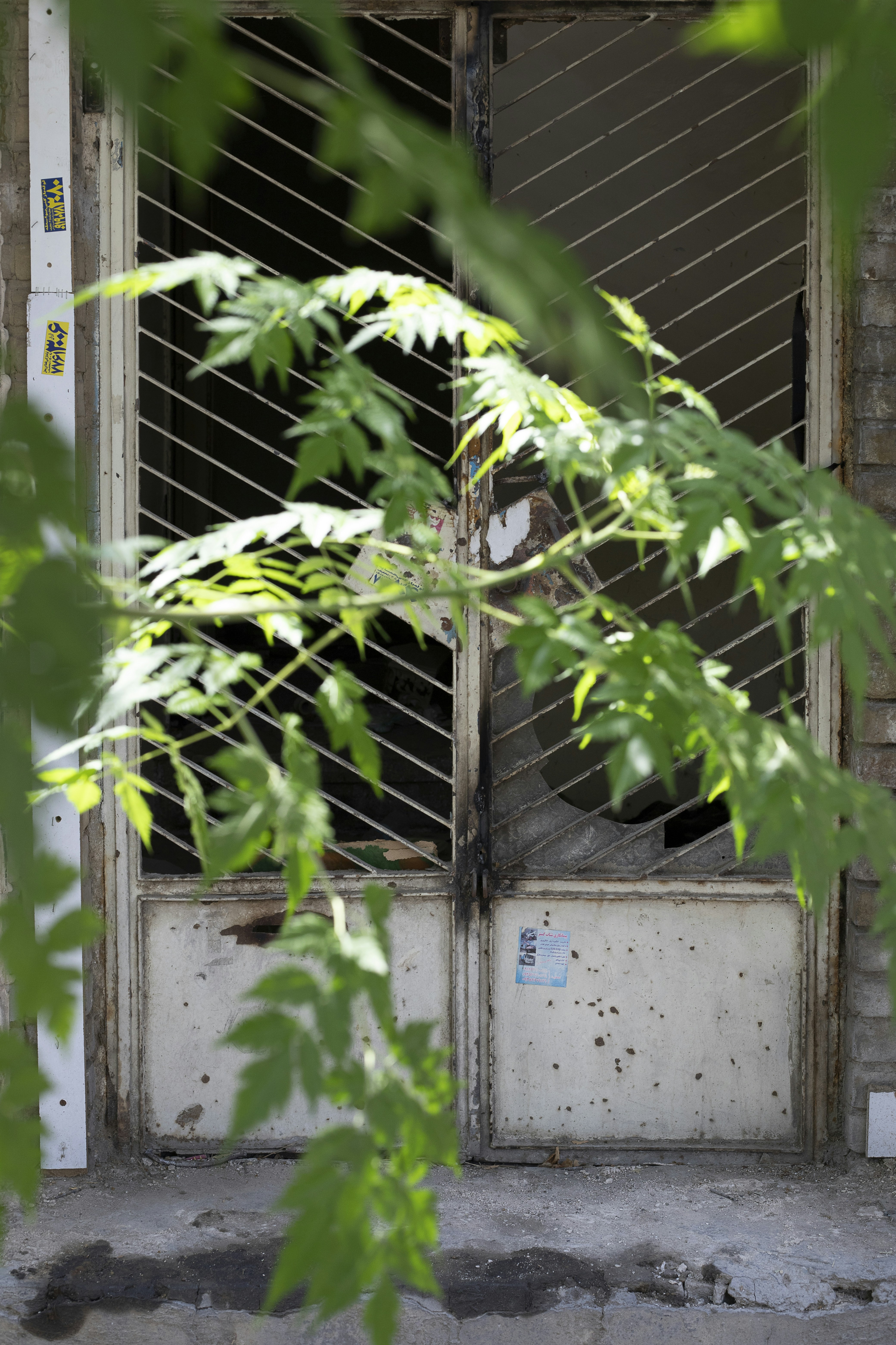 Photo by nahalkavand