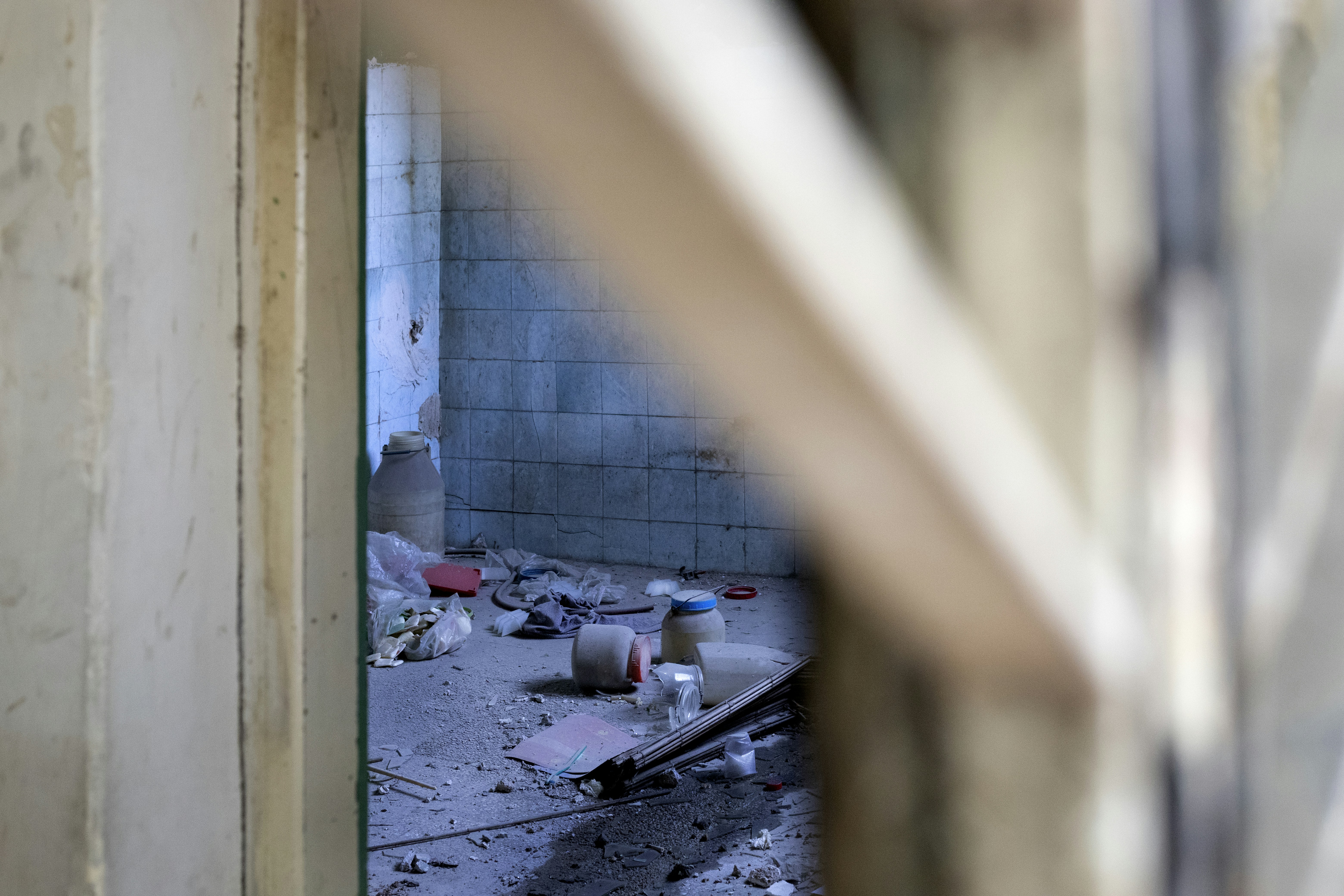 Photo by nahalkavand