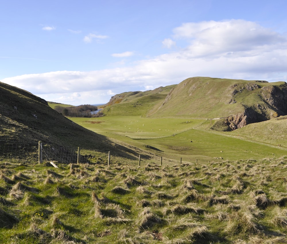 a grassy field with hills in the background