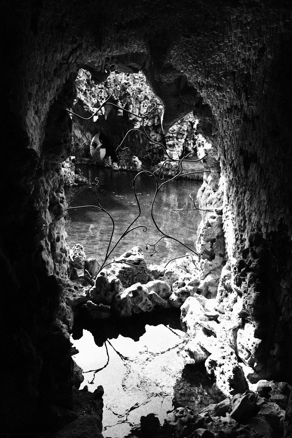 a black and white photo of a cave entrance
