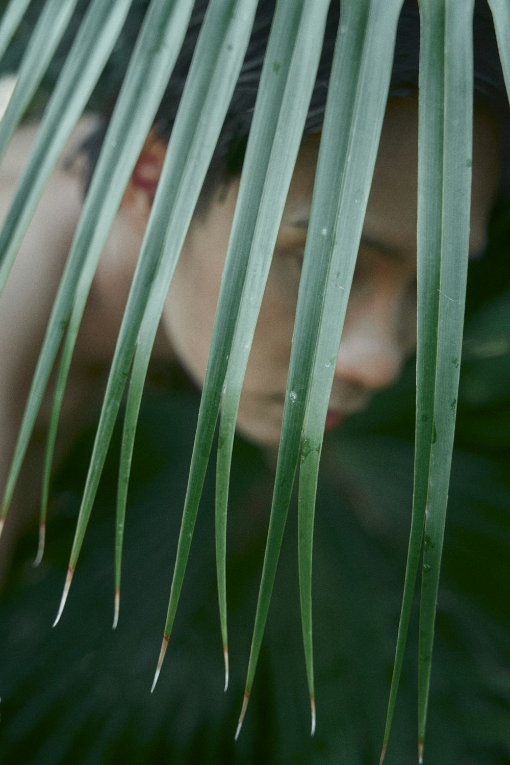 a close up of a person's face through a palm leaf