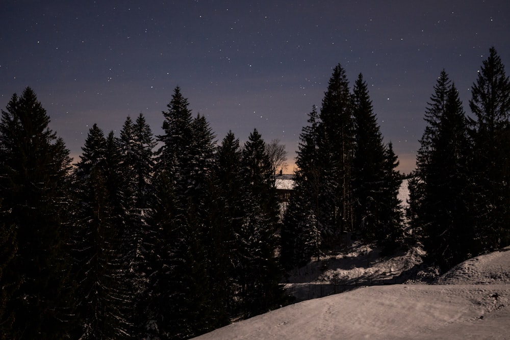 the night sky is lit up over a snow covered hill