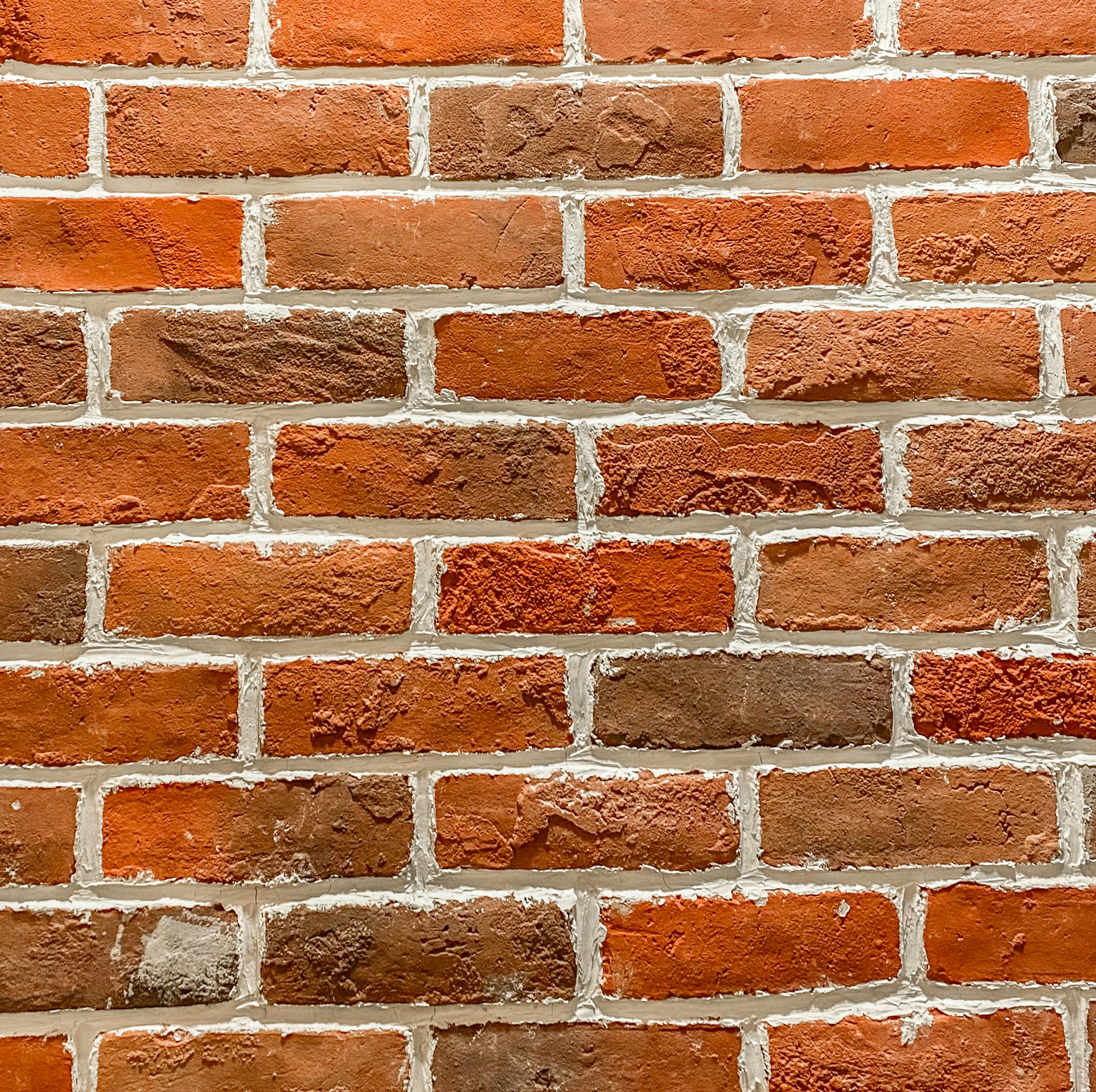 Photo by your_scorpion