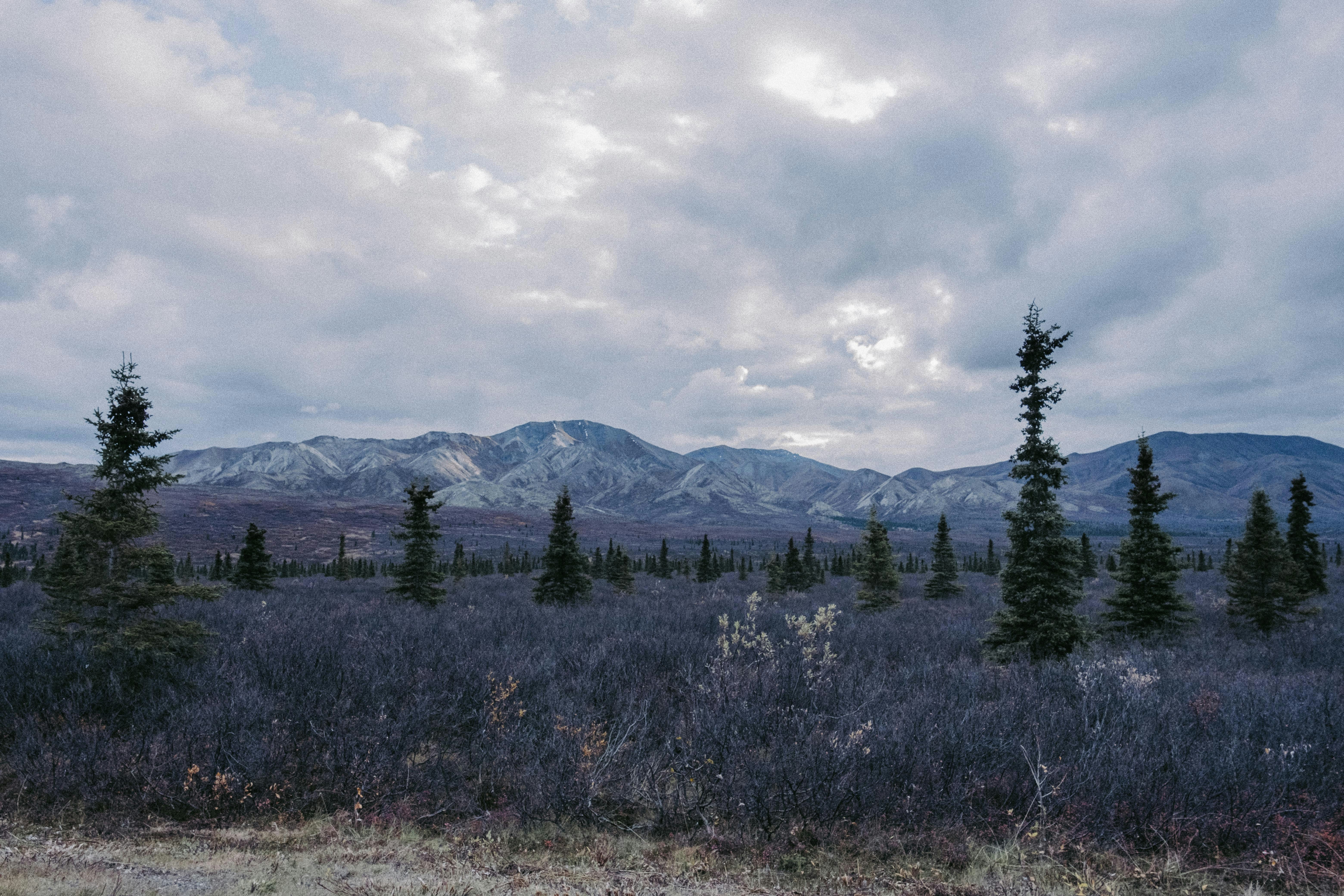 Photo by colinandmeg