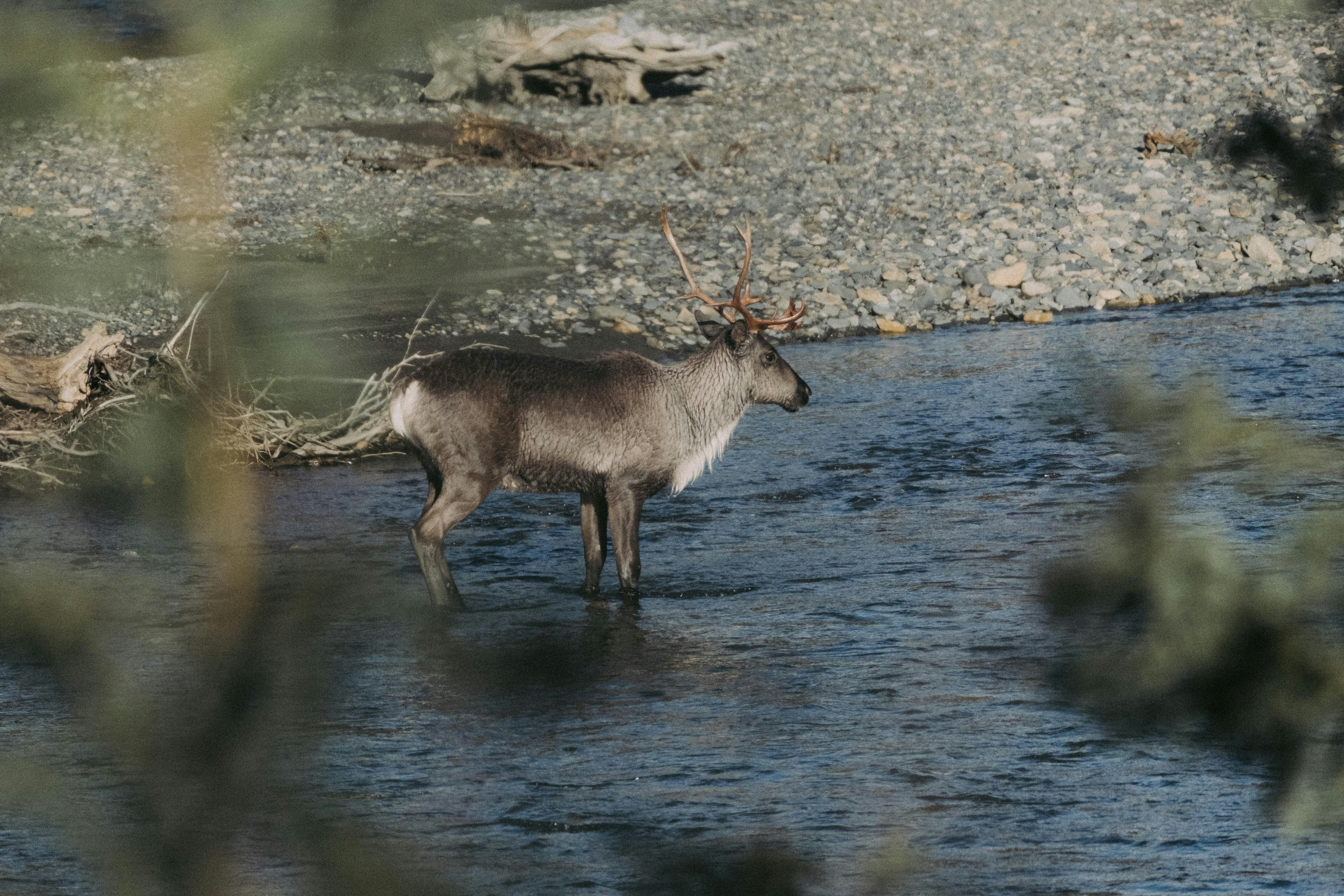 Photo by colinandmeg