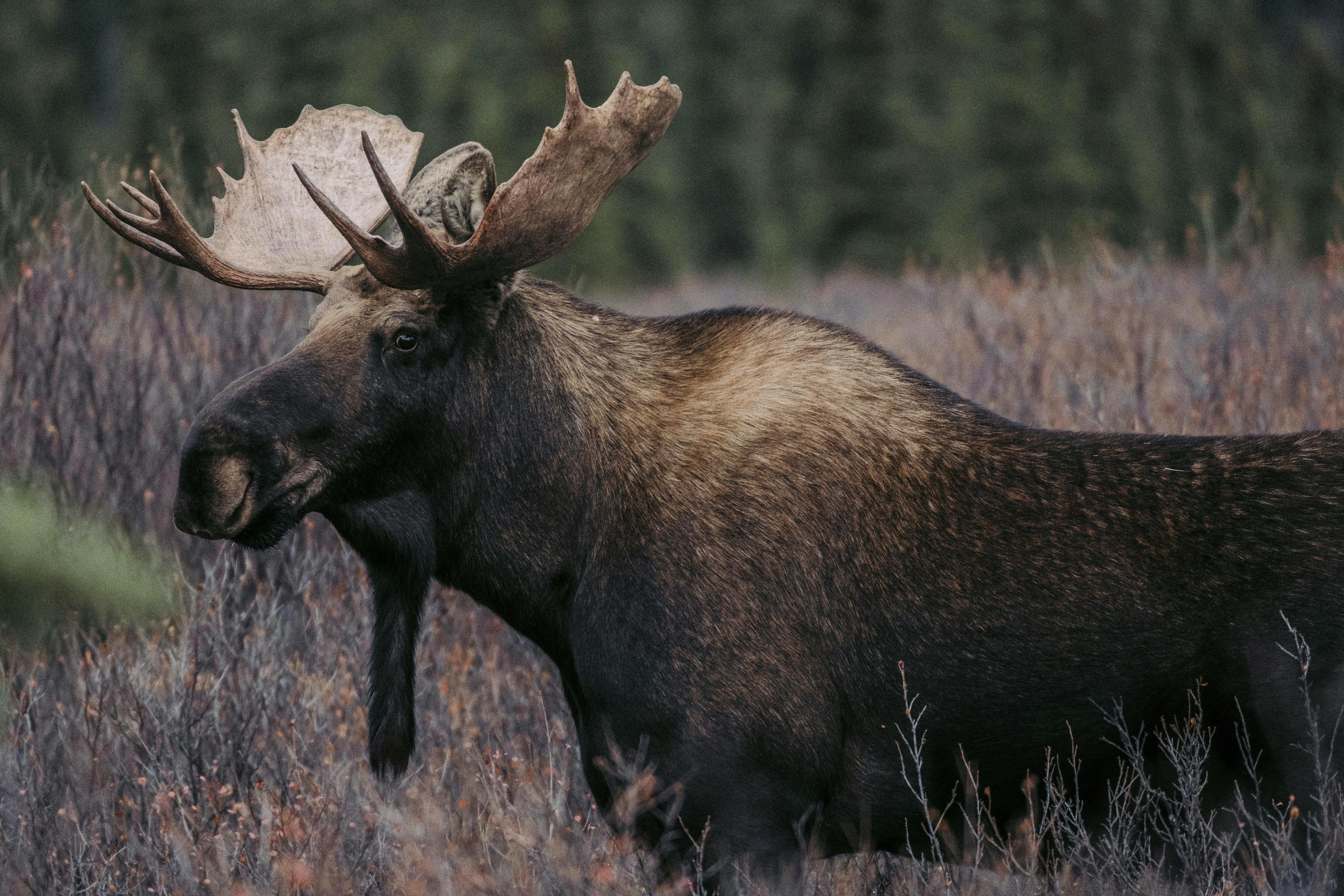 Photo by colinandmeg